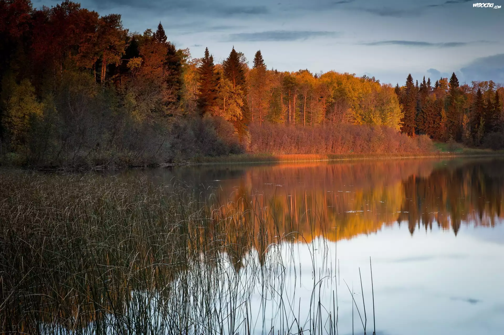 Jezioro, Lasy, Jesień