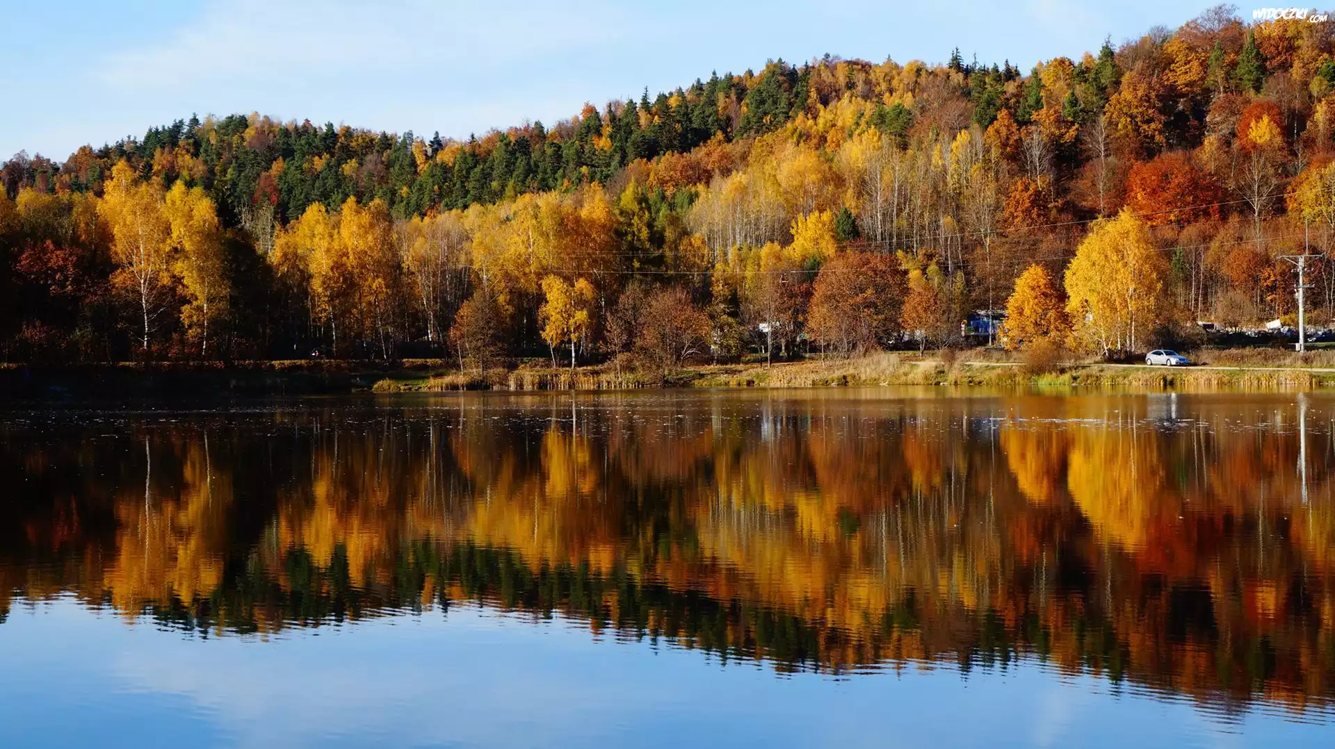 Jezioro, Lasy, Odbicie