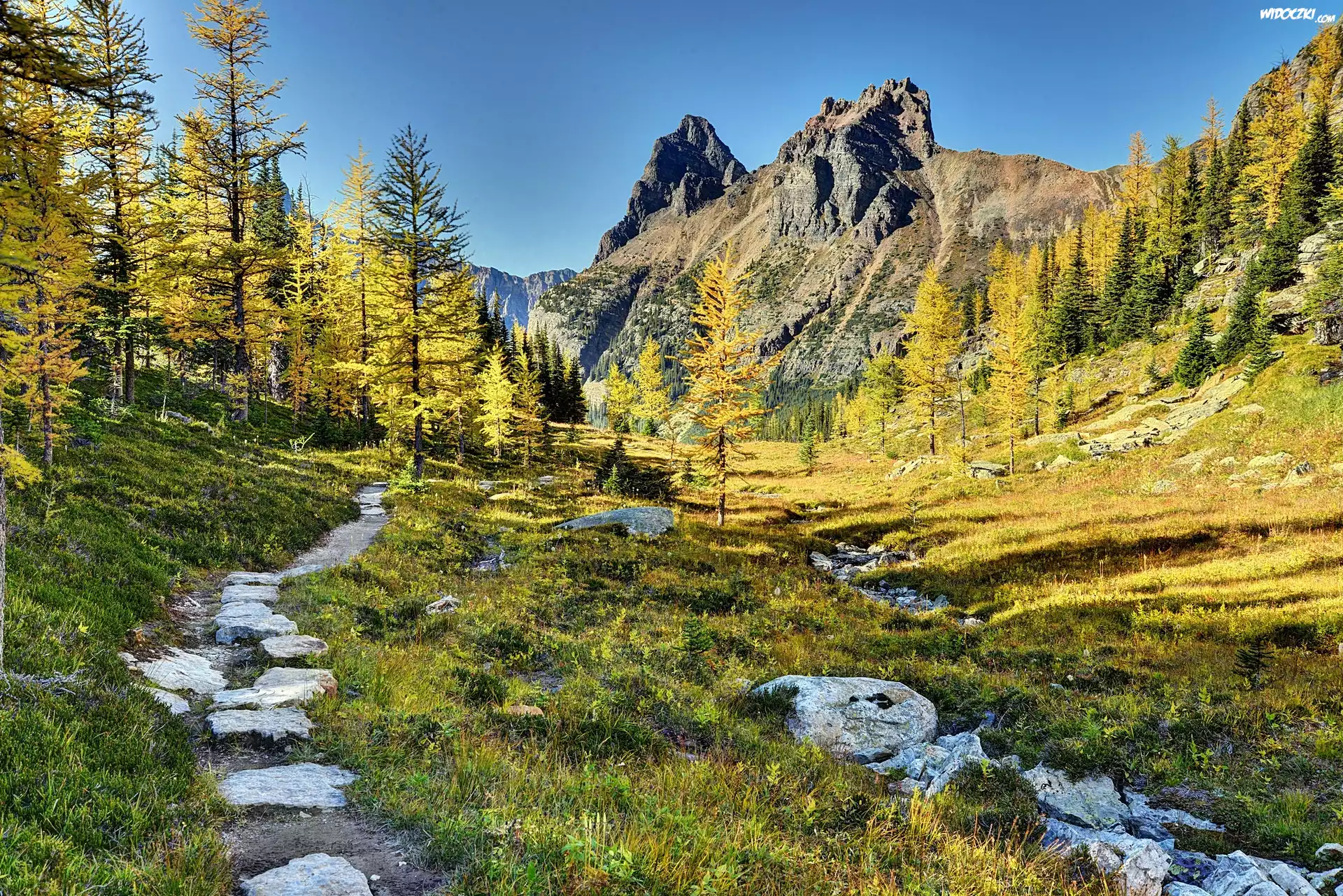 Góry, Lasy, Ścieżka, Jesień, Park Narodowy Yoho, Kanada
