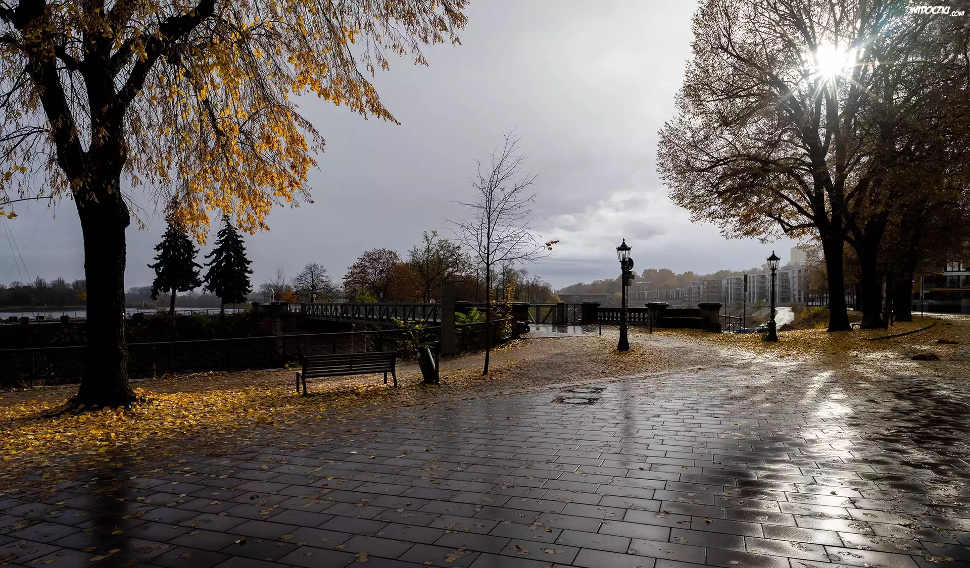 Park, Latarnie, Mostek, Wschód słońca, Drzewa, Jesień