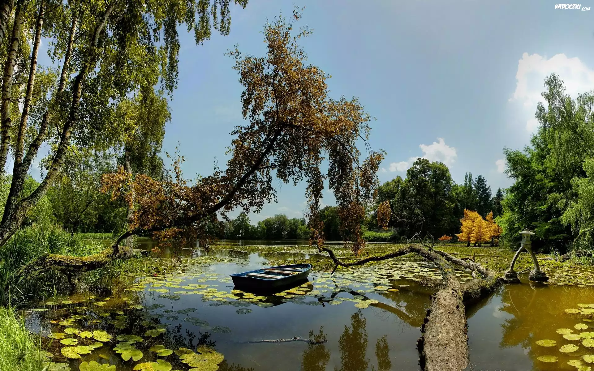 Lato, Staw, Łódz, Drzewa