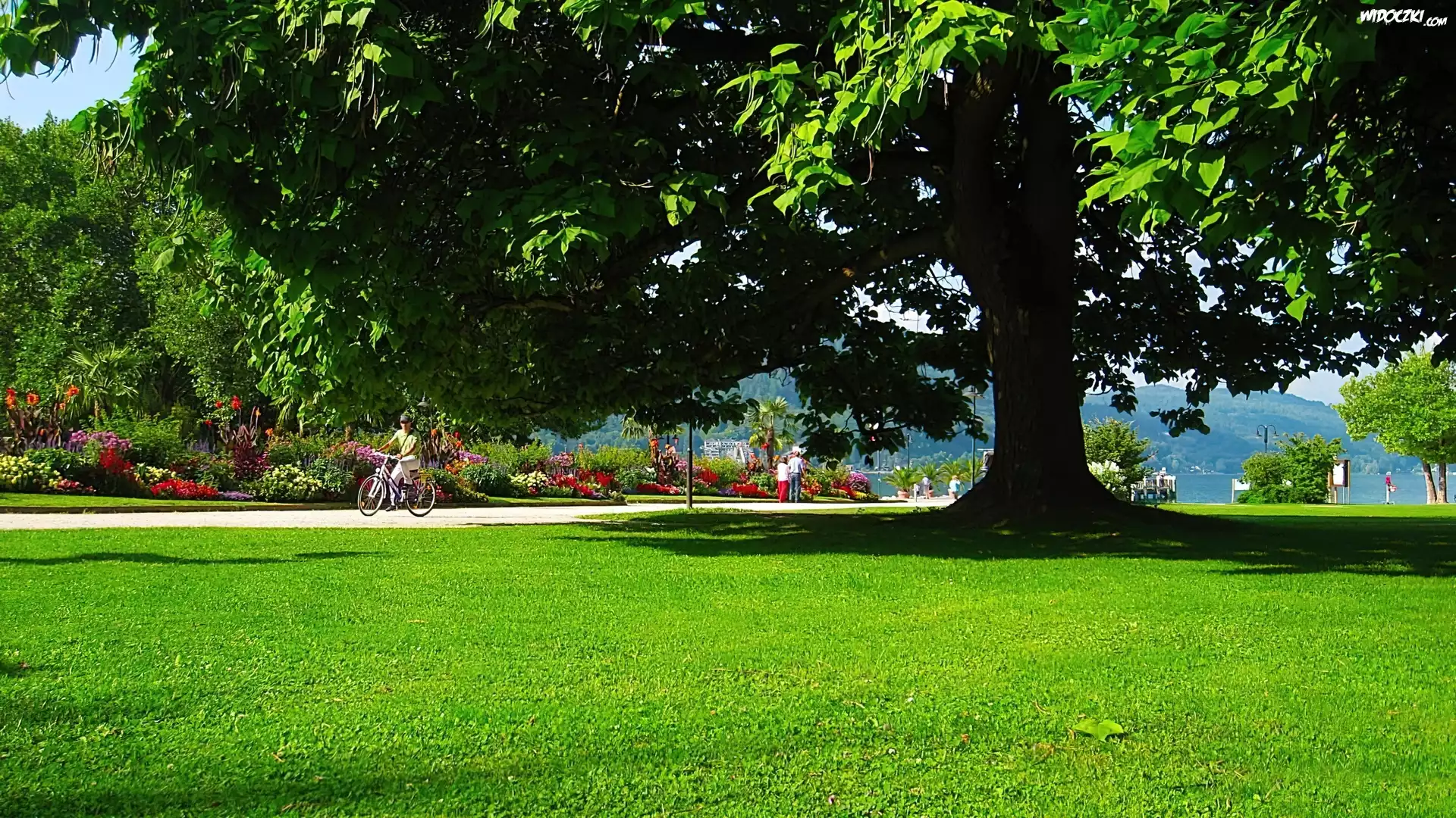 Lato, Park, Spacerowicze, Austria