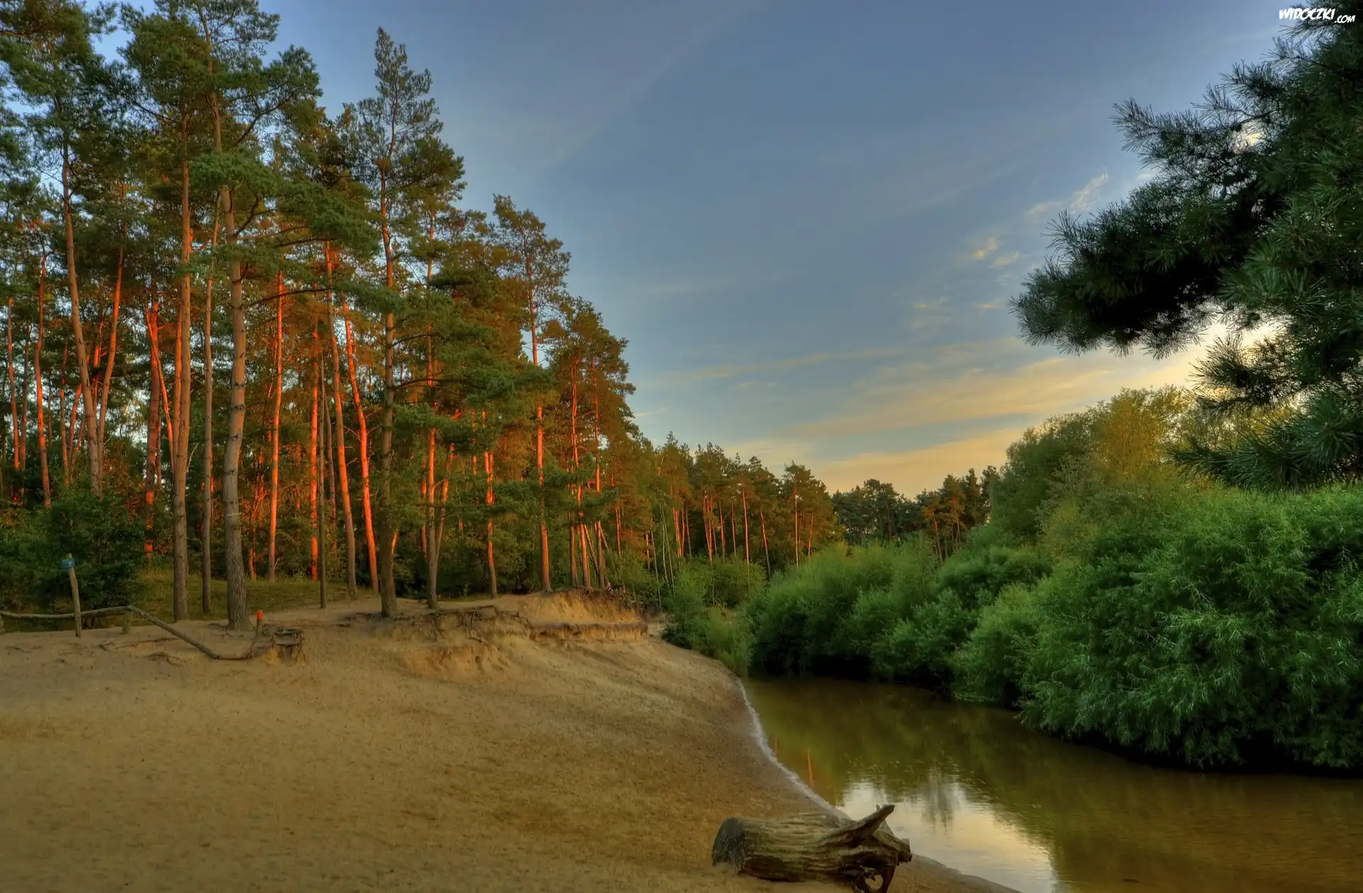 Lato, Las, Rzeka, Zachód, Słońca