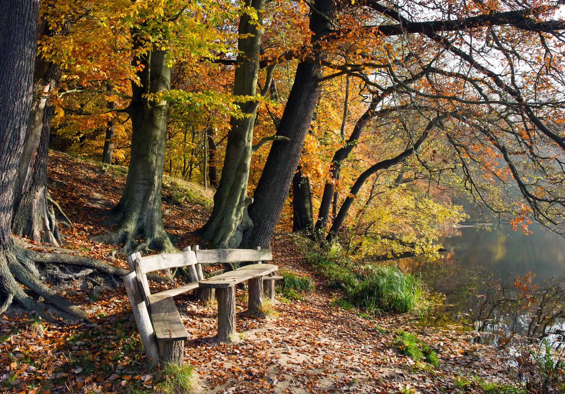 Jesień, ławki, Park