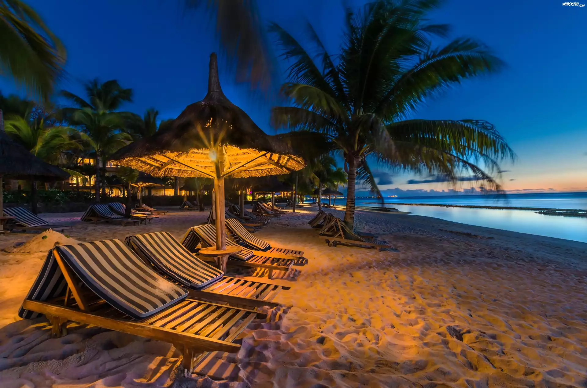 Plaża, Leżaki, Palmy, Ocean, Zmierzch, Wyspa, Mauritius, Tropiki