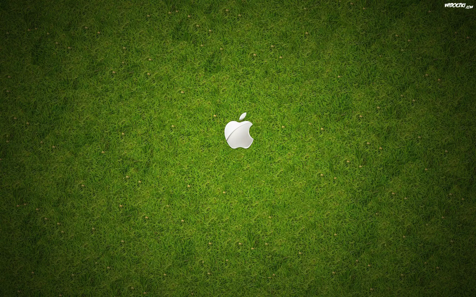 Apple, Logo, Łąka