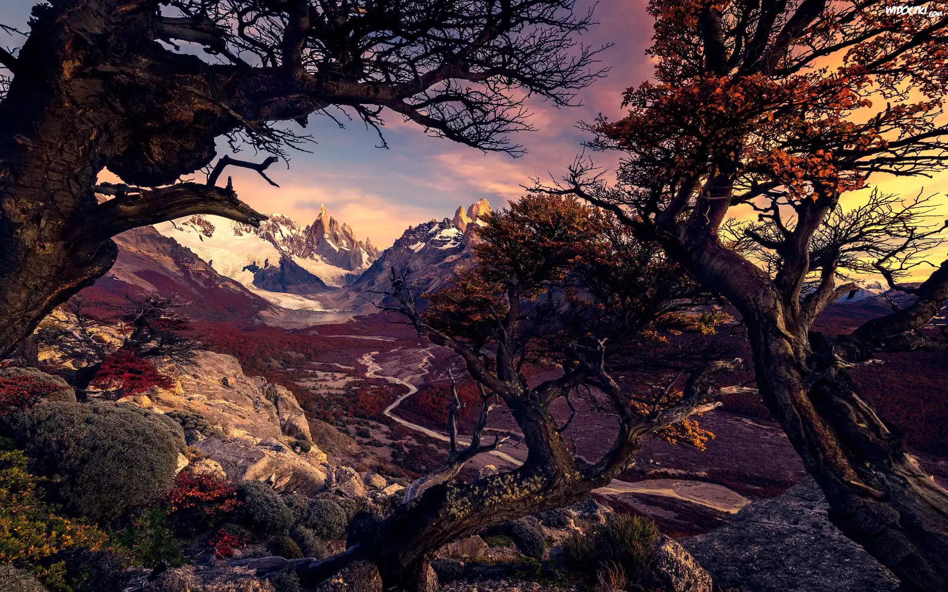 Argentyna, Patagonia, Góry, Andy, Park Narodowy Los Glaciares, Drzewa, Droga, Jesień