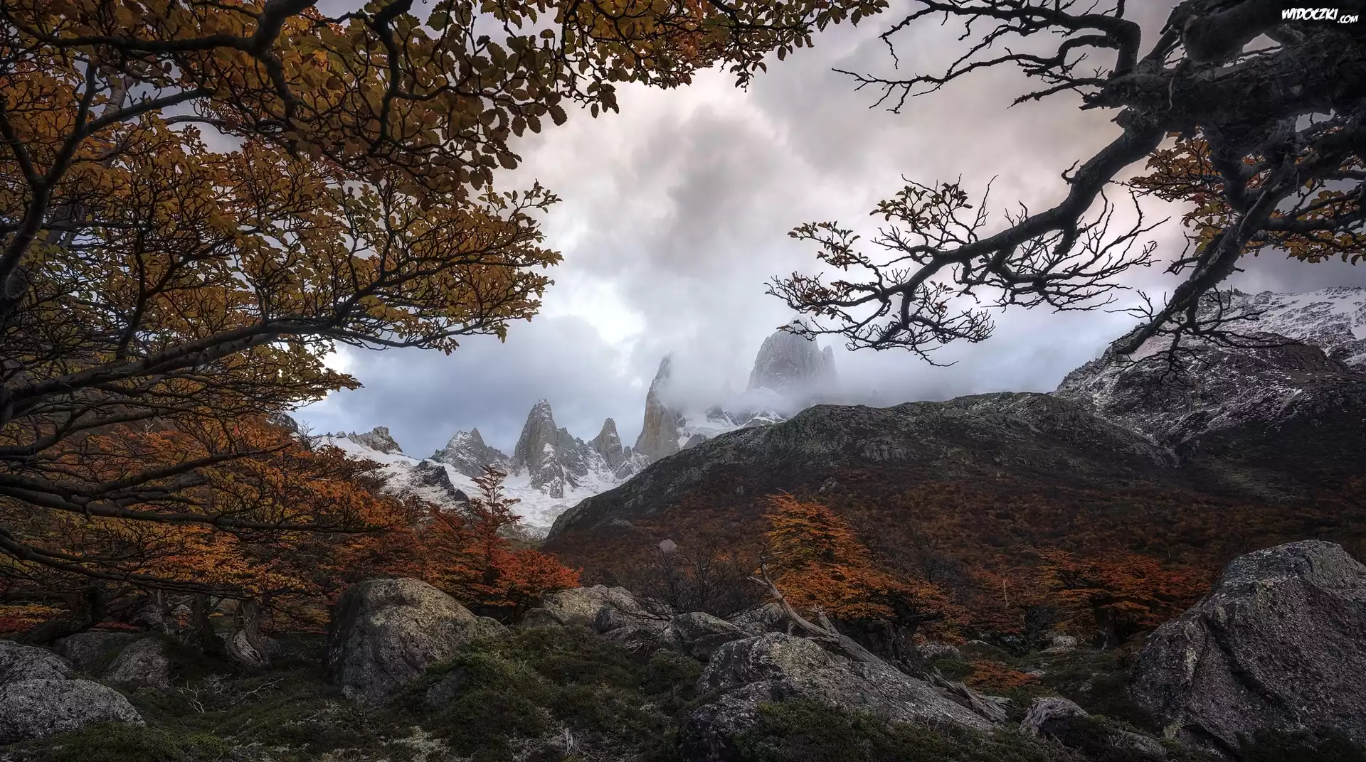 Jesień, Góry Andy, Park Narodowy Los Glaciares, Drzewa, Gałęzie, Kamienie, Patagonia, Argentyna