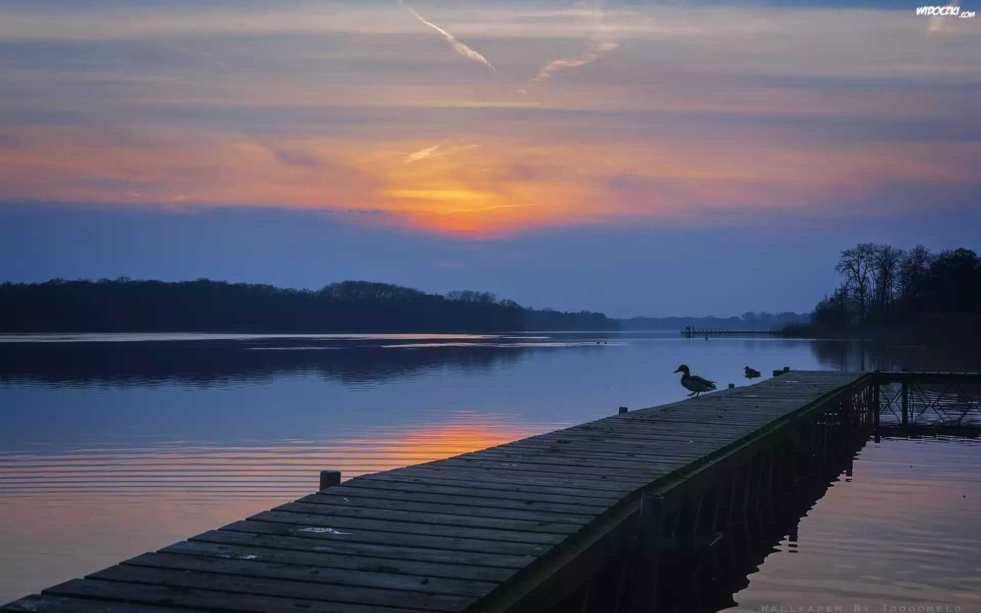 Jezioro Lusowskie, Wielkopolska, Zachód słońca, Pomost, Kaczki