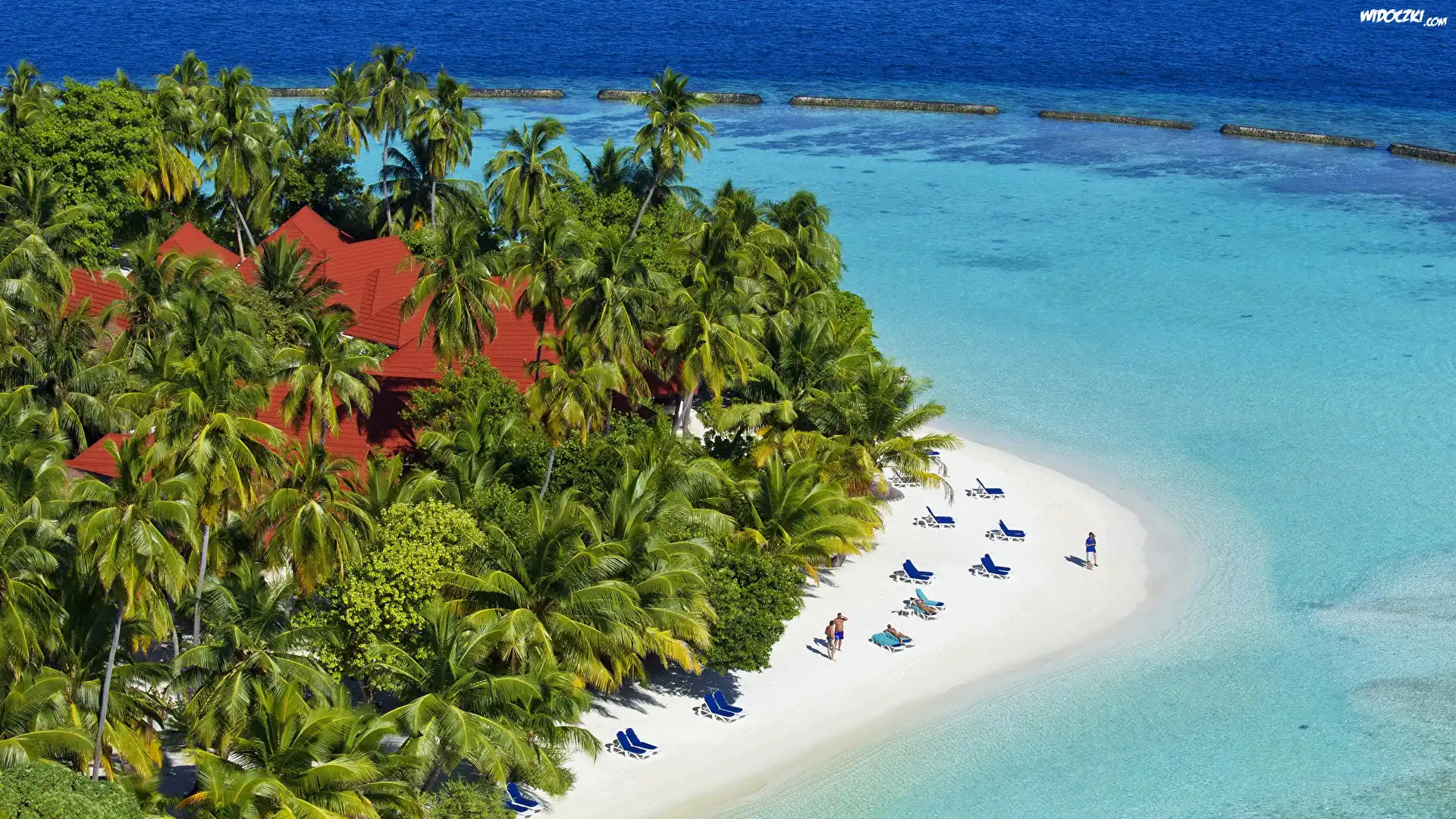 Hotel Kurumba Maldives, Wyspa Vihamanaafushi, Malediwy, Tropiki, Morze, Plaża, Palmy, Wakacje