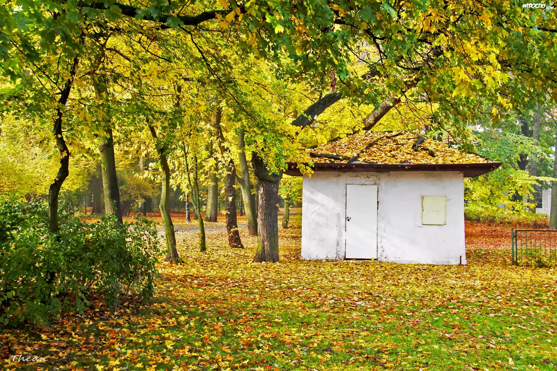Mały, Biały, Domek, Park, Jesień