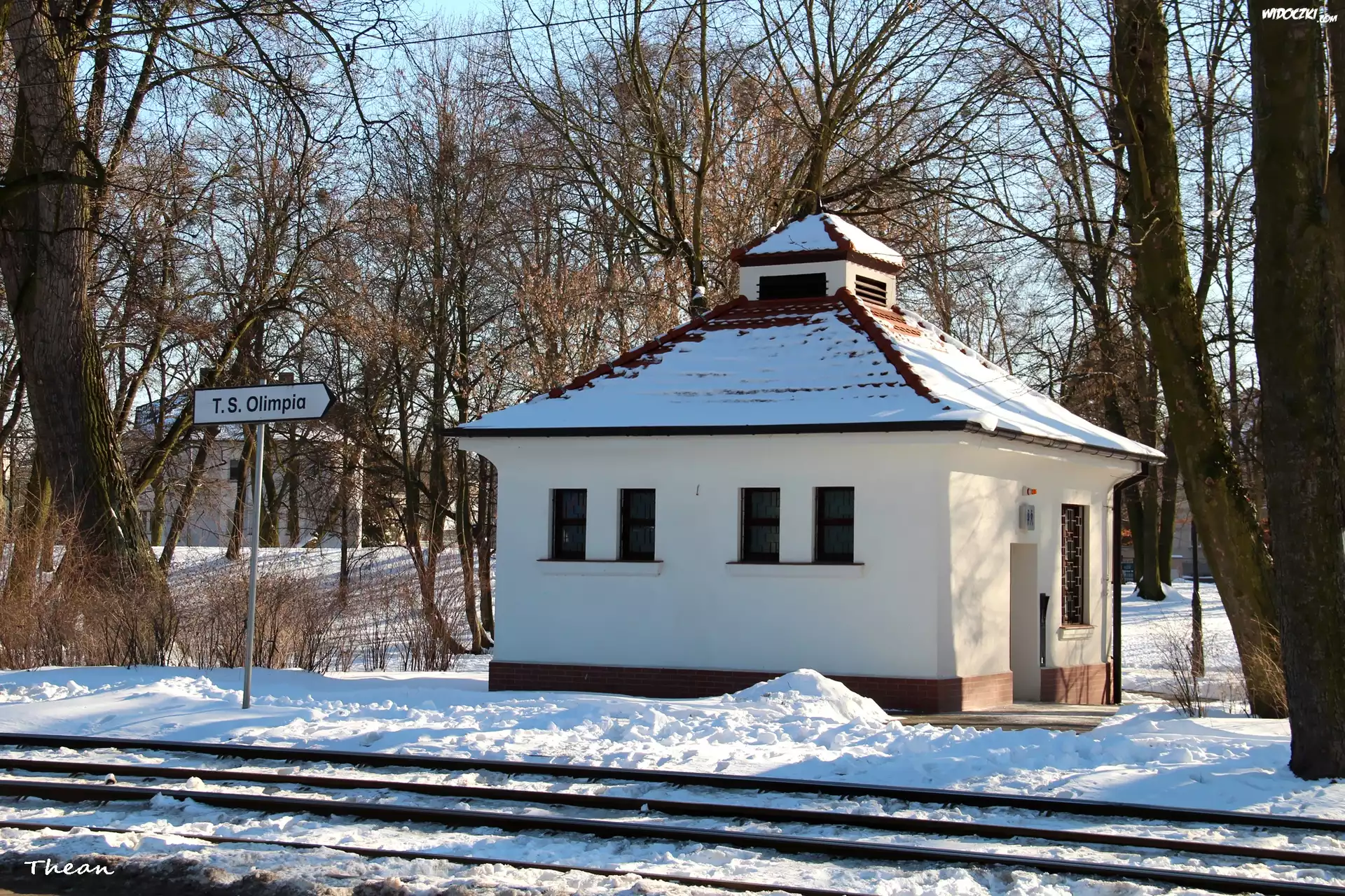 Mały, Biały, Domek, Park, Poznań