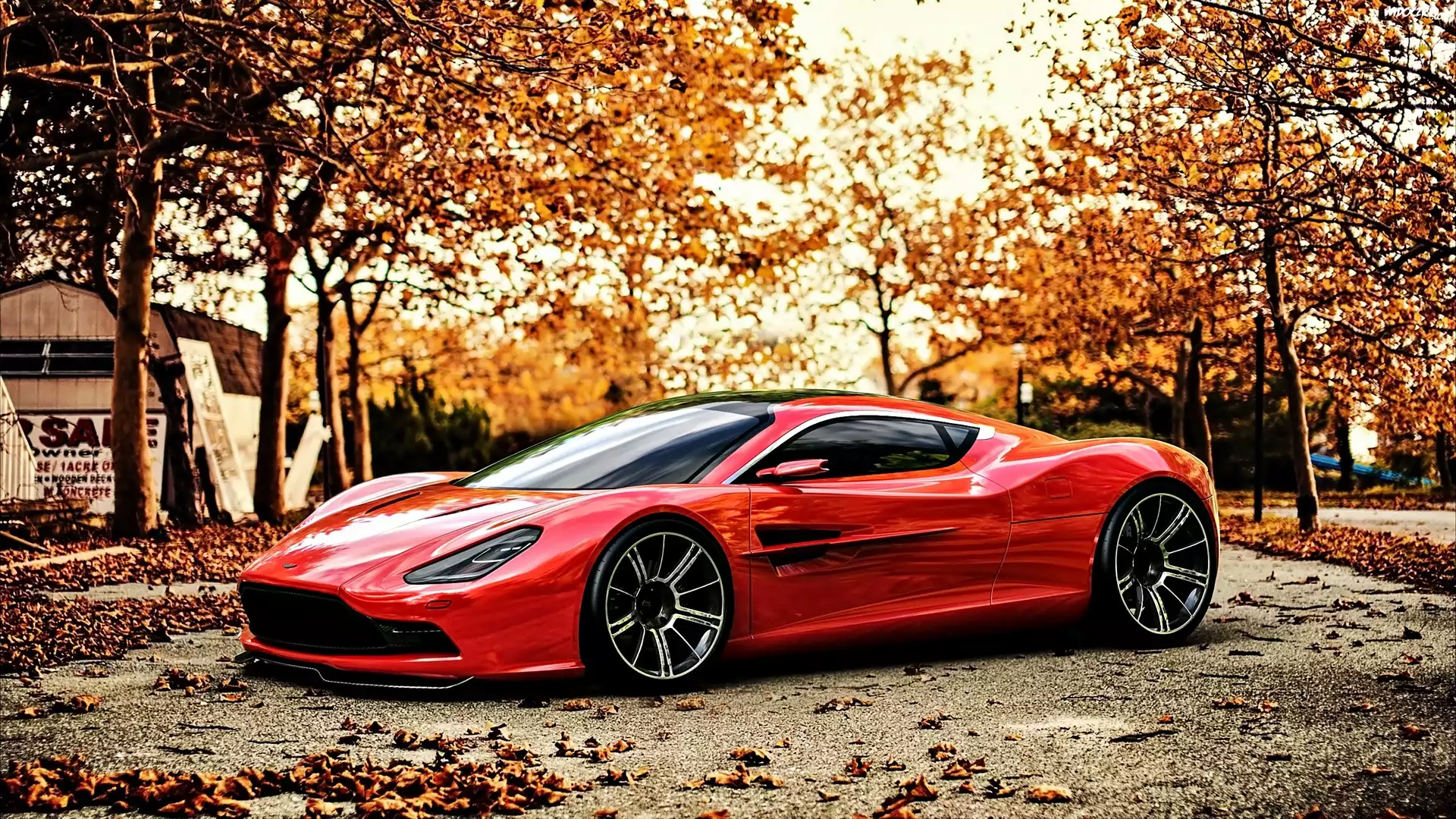 Aston Martin, DBC, Czerwony, Drzewa, Droga, Jesień