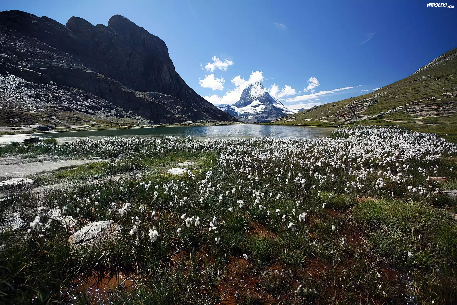 Łąka, Jeziorko, Góry, Matterhorn, Szwajcaria