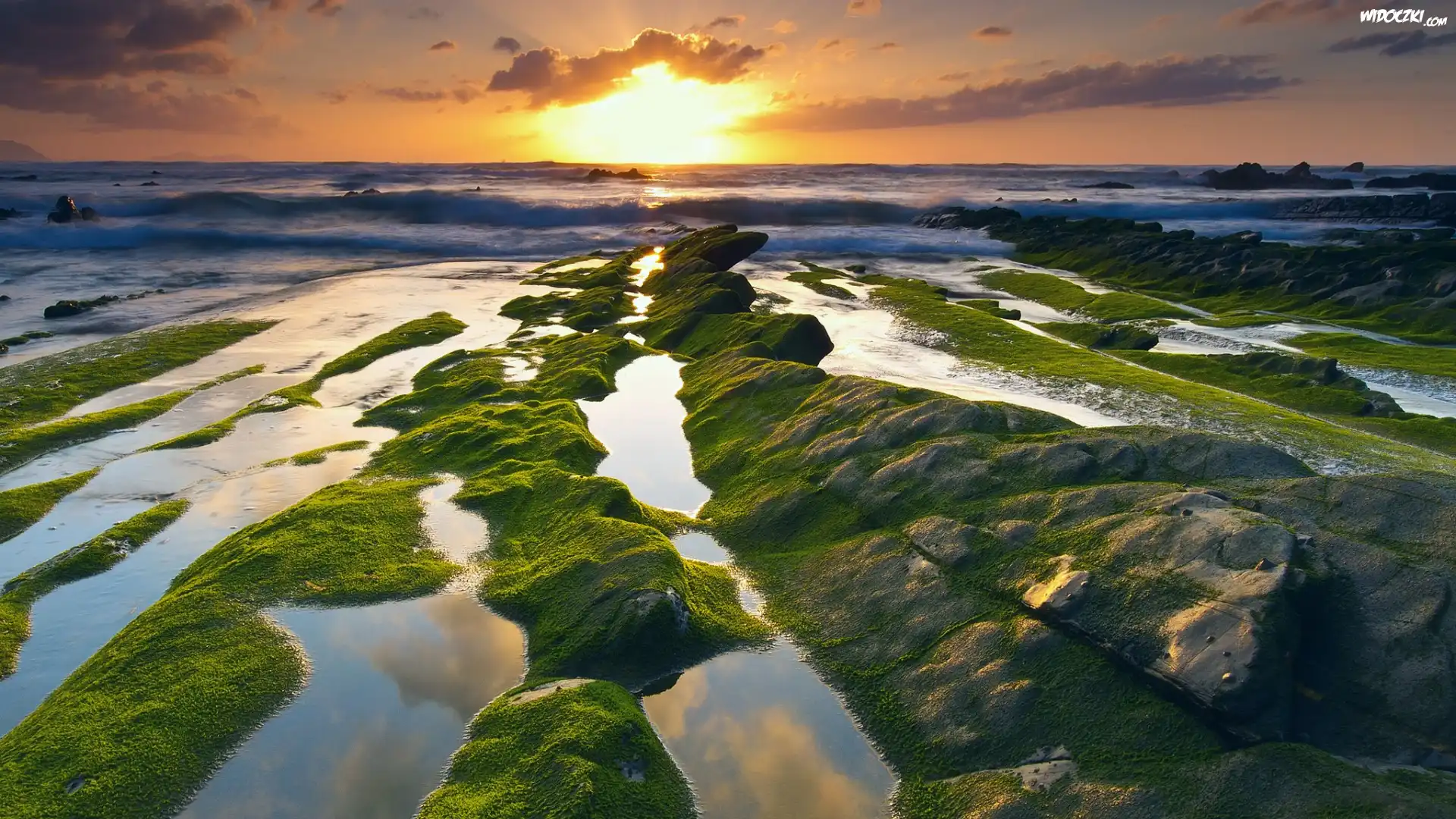 Hiszpania, Plaża Barrika, Zatoka Biskajska, Morze, Skały, Wschód Słońca, Mech