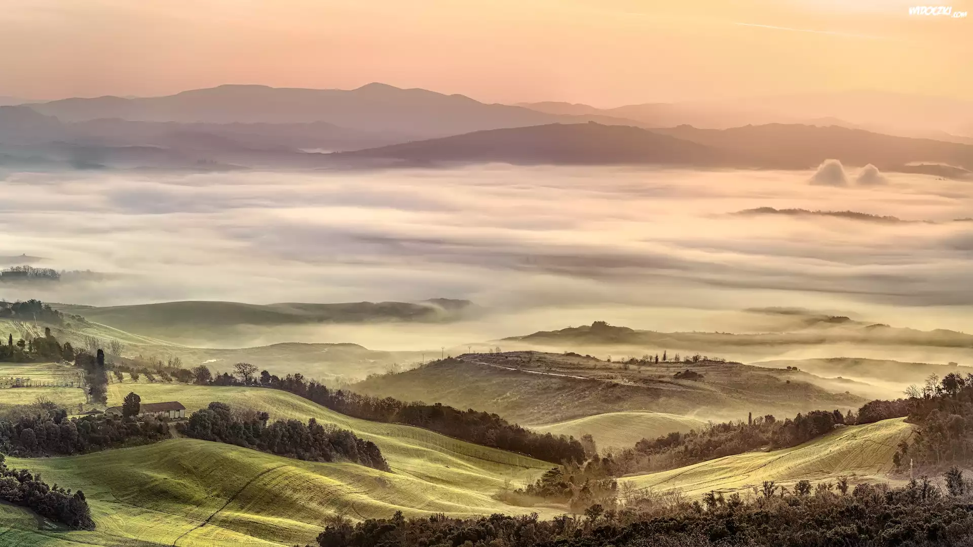 Włochy, Toskania, Dolina, Val di Cecina, Pola, Wzgórza, Poranek, Mgła