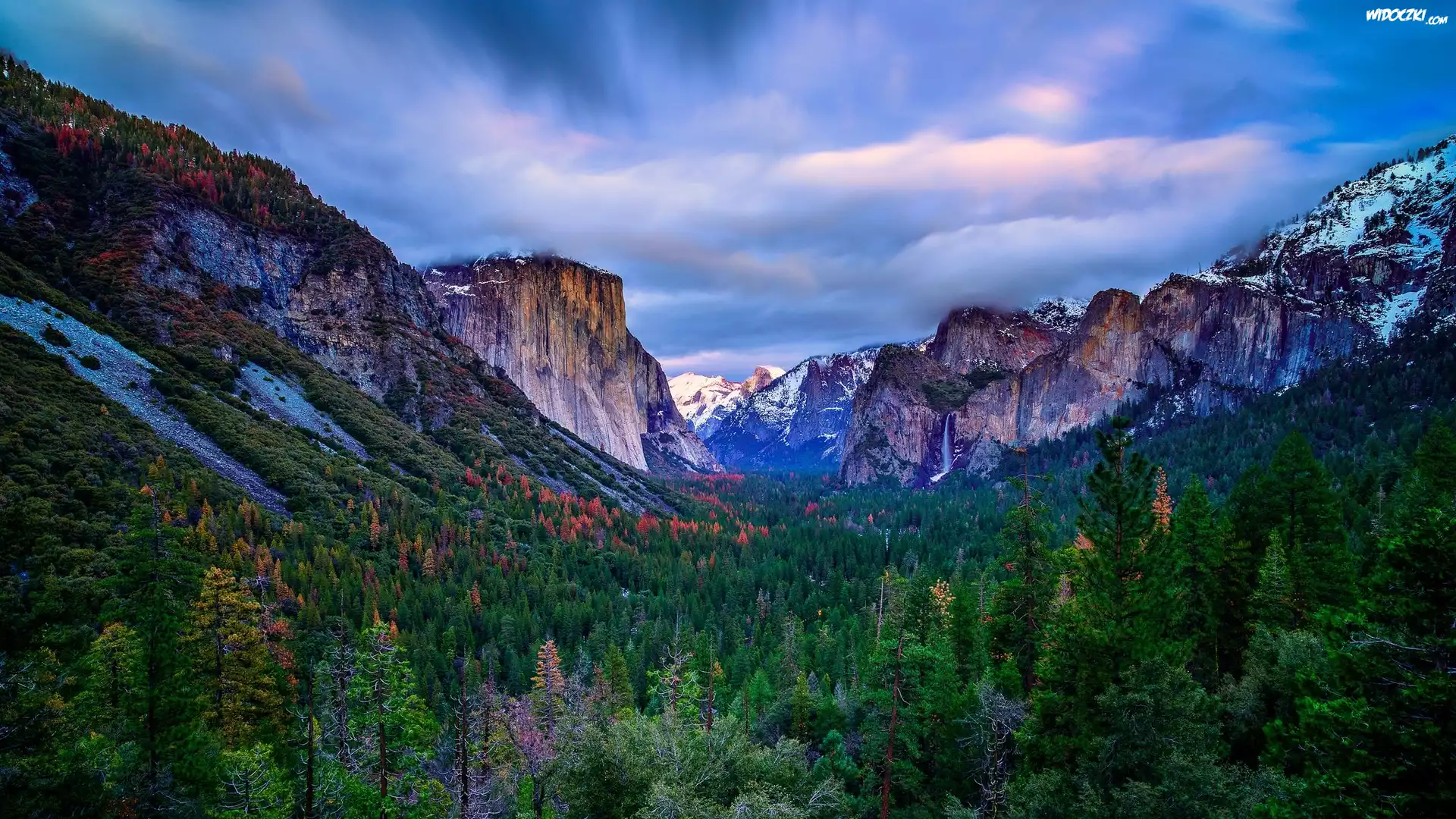 Stany Zjednoczone, Kalifornia, Park Narodowy Yosemite, Góry, Las, Drzewa, Mgła