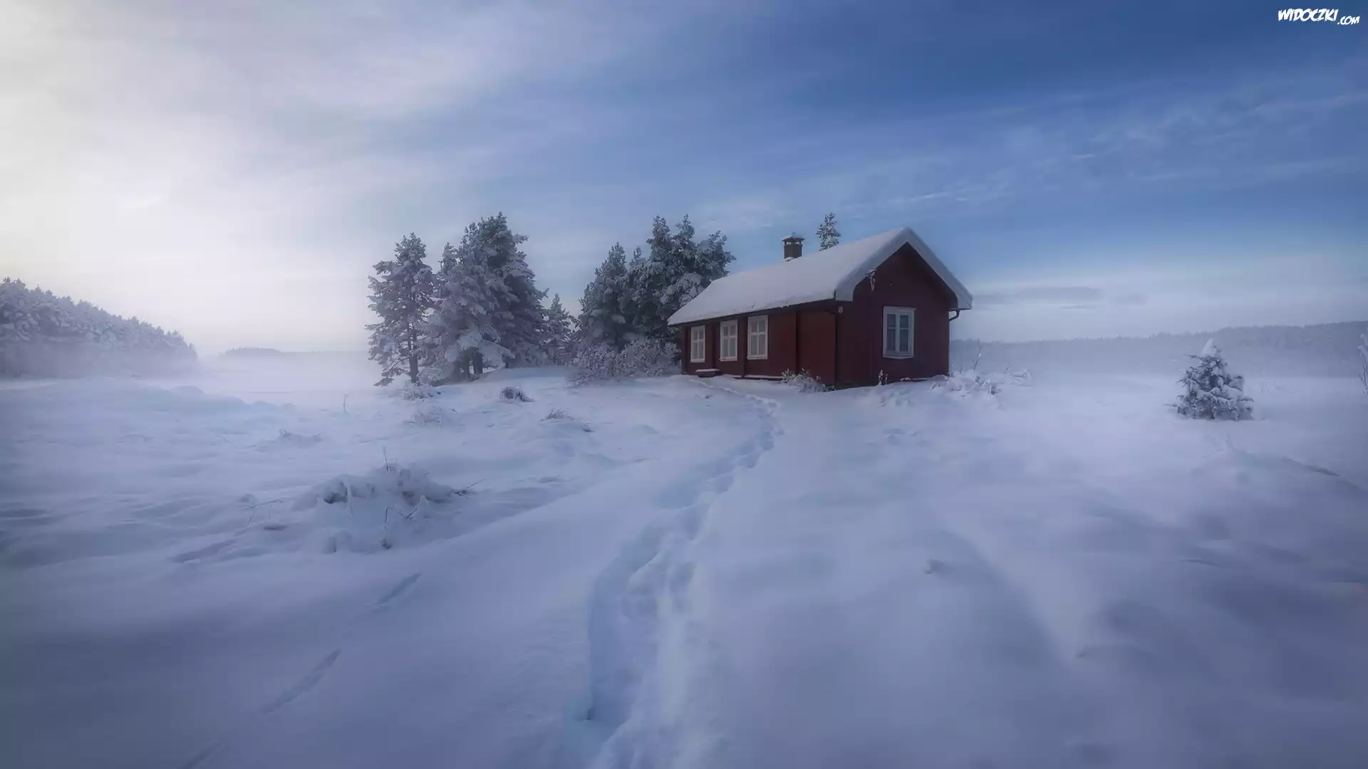 Norwegia, Gmina Ringerike, Zima, Drzewa, Las, Dom, Śnieg, Mgła