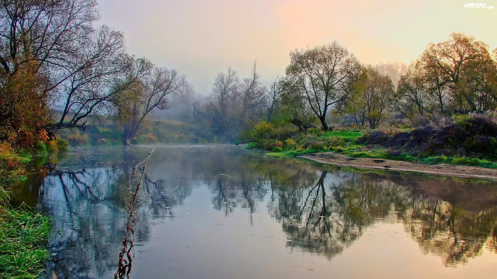 Rzeka, Mgła, Drzewa