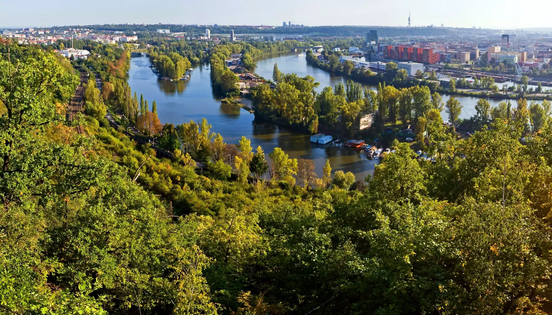 Miasto, Rzeka, Drzewa, Panorama