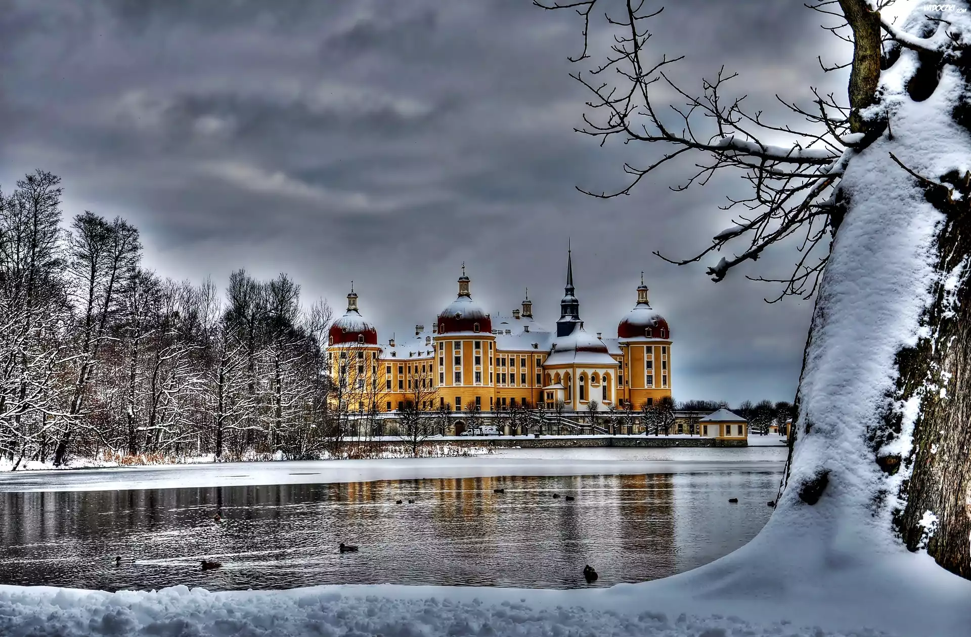 Niemcy, Saksonia, Miejscowość Moritzburg, Pałac Moritzburg, Jezioro, Śnieg, Zima, Drzewa