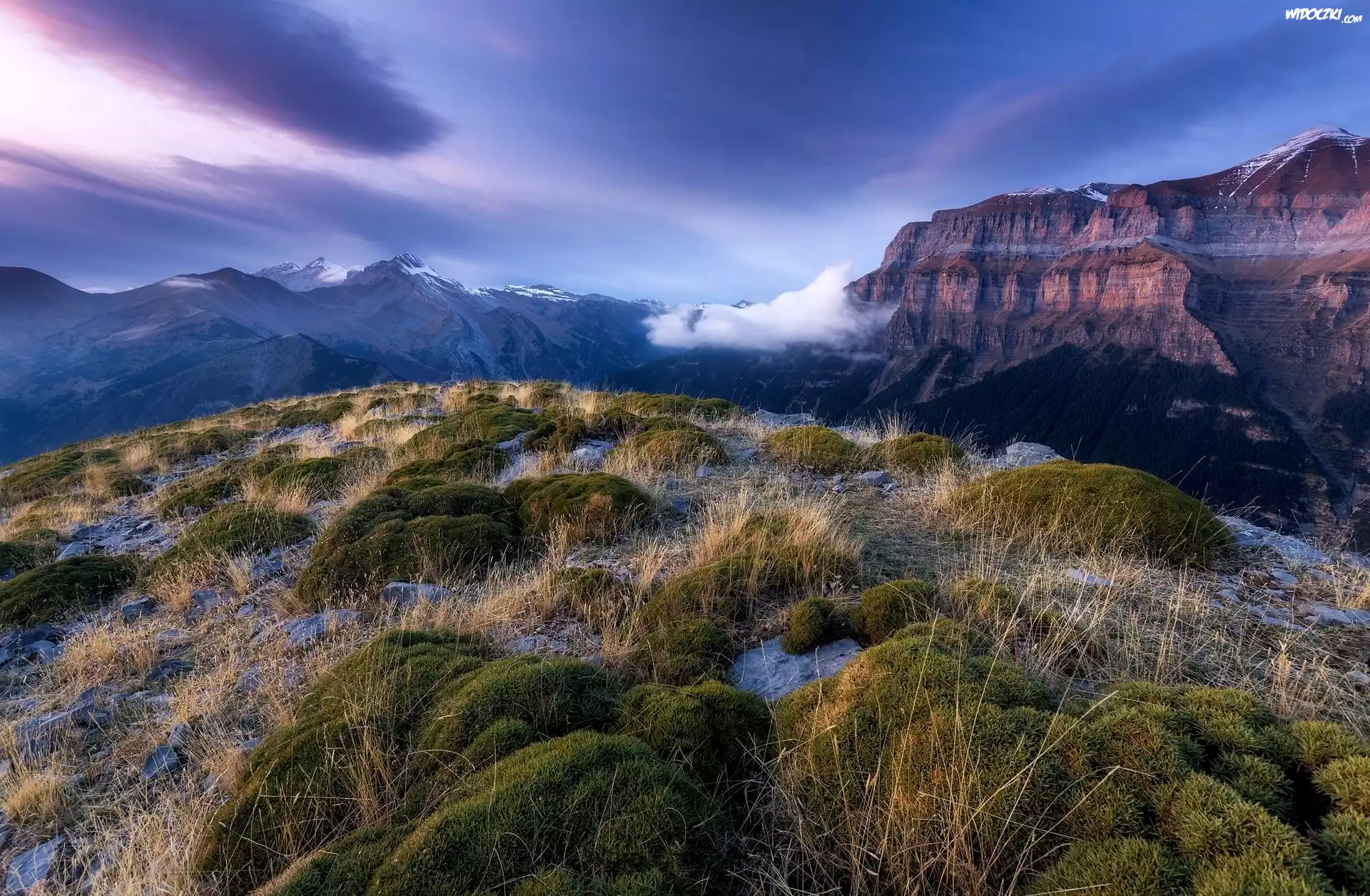 Park Narodowy Ordesa y Monte Perdido, Góry Pireneje, Kanion de Anisclo, Hiszpania, Kępki, Trawa