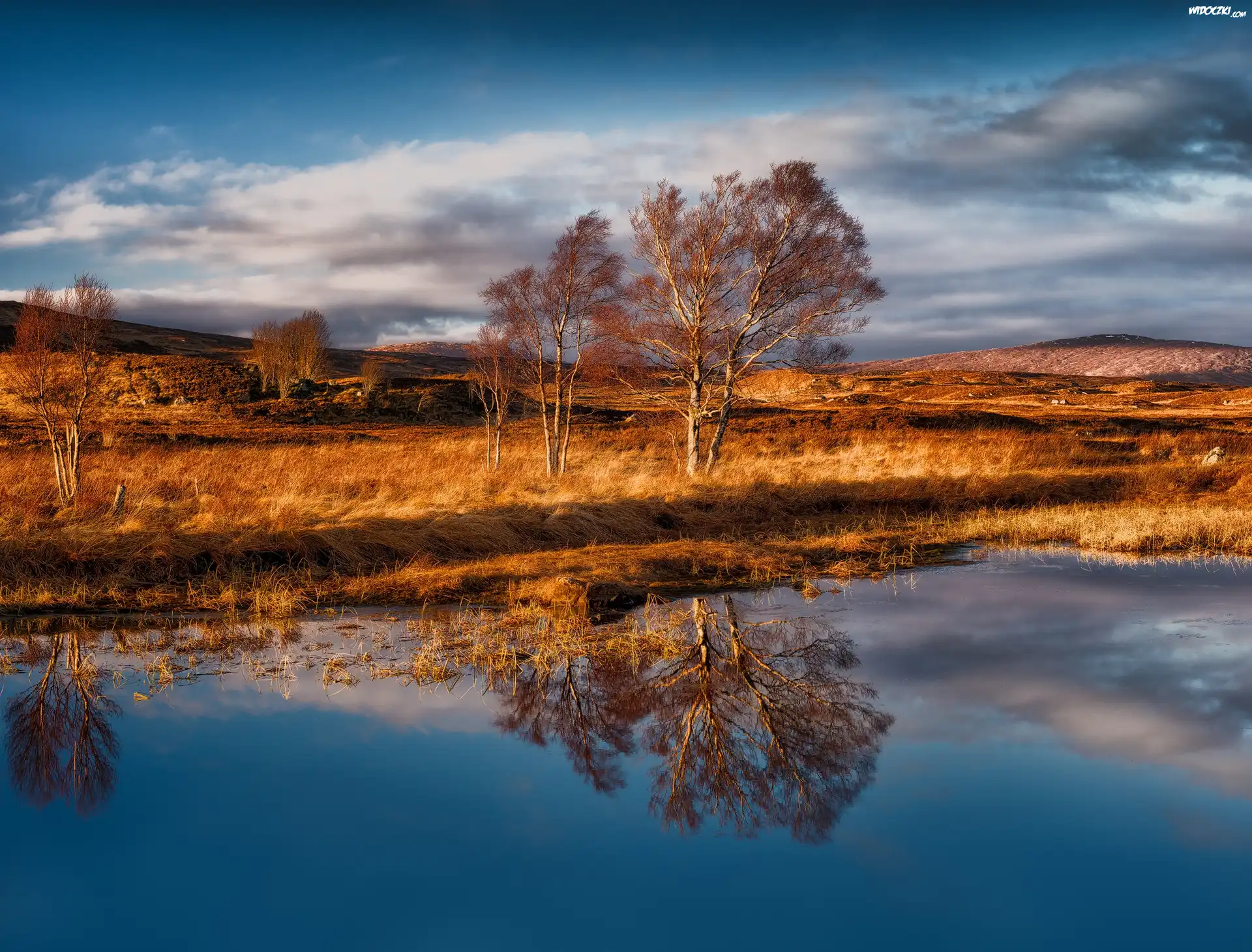 Szkocja, Region Highlands, Góry Rannoch Moor, Jezioro Loch Bà, JesieÅ„, Drzewa