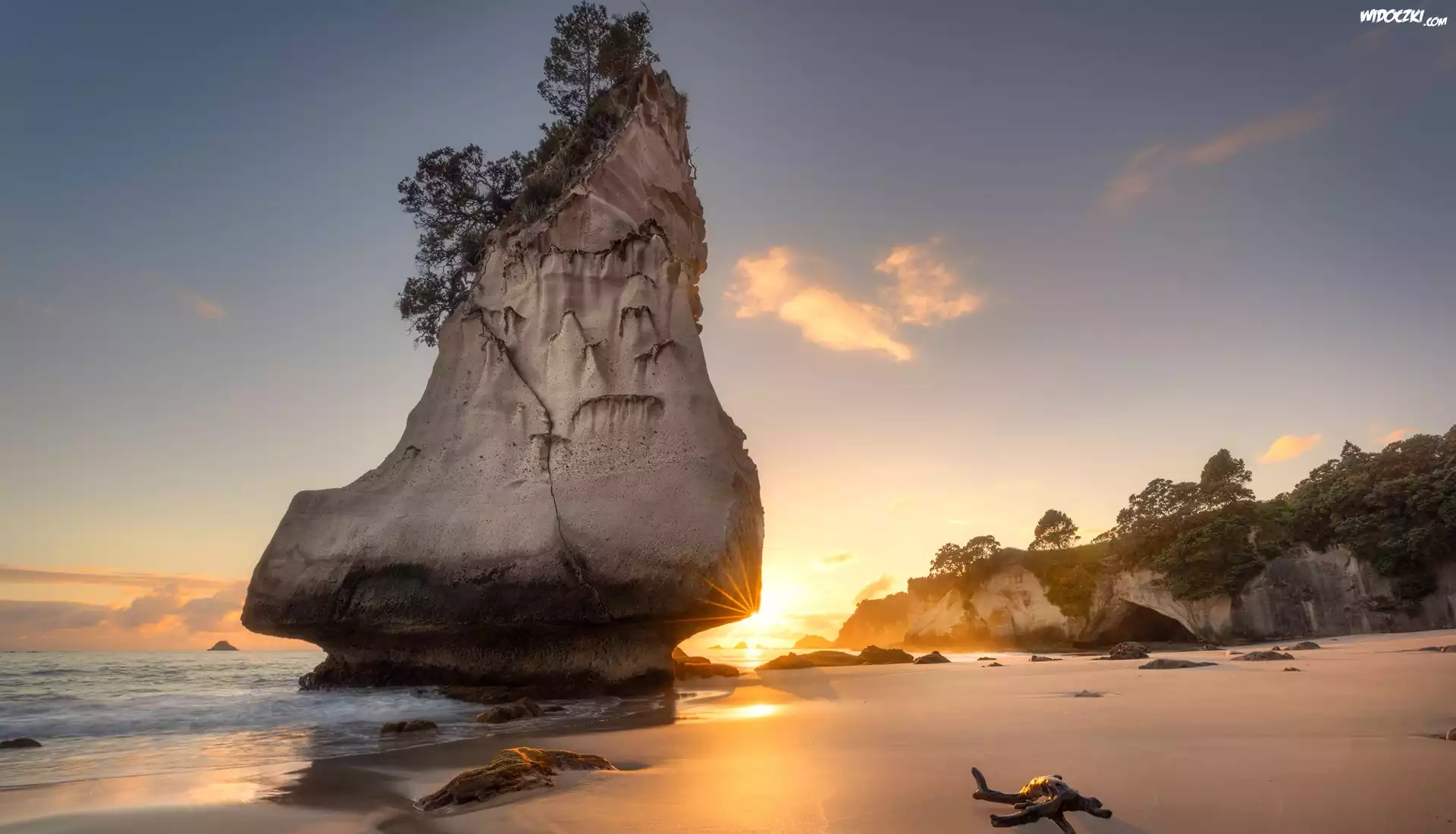 Morze, Skała, Te Hoho Rock, Plaża, Drzewa, Wschód słońca, Półwysep Coromandel, Nowa Zelandia
