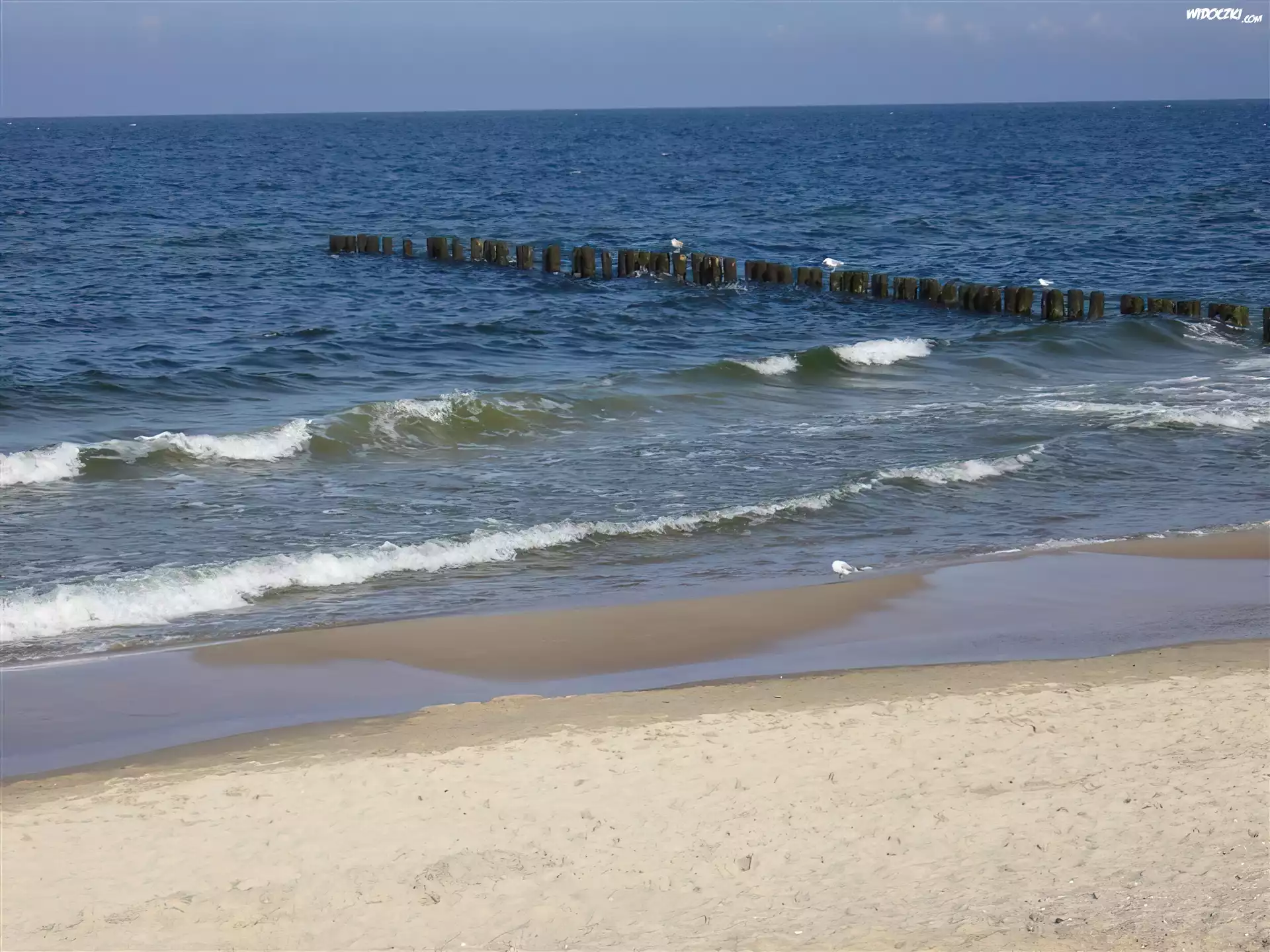 Kołobrzeg, Morze, Plaża