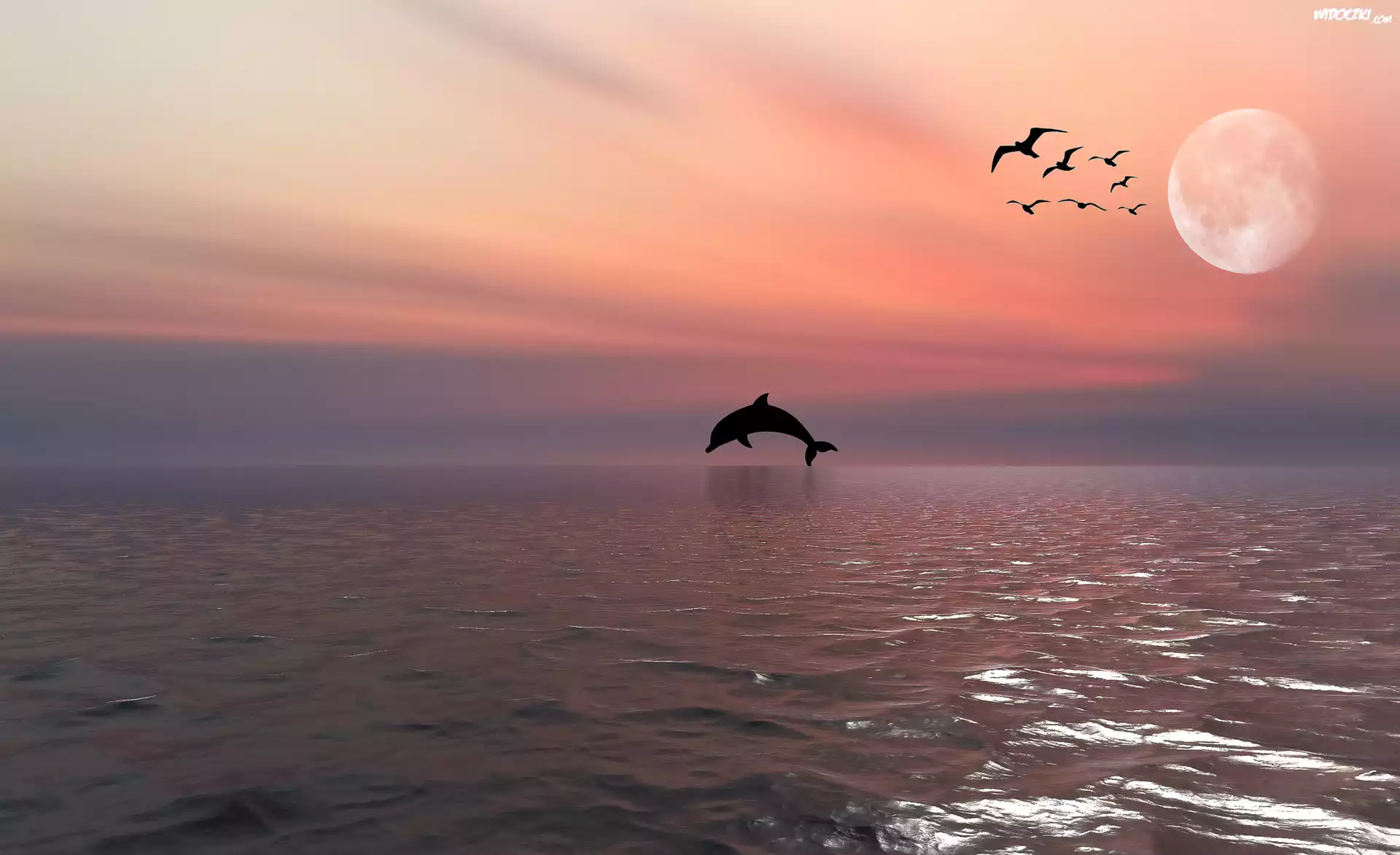 Morze, Delfin, Ptaki, Księżyc, 2D