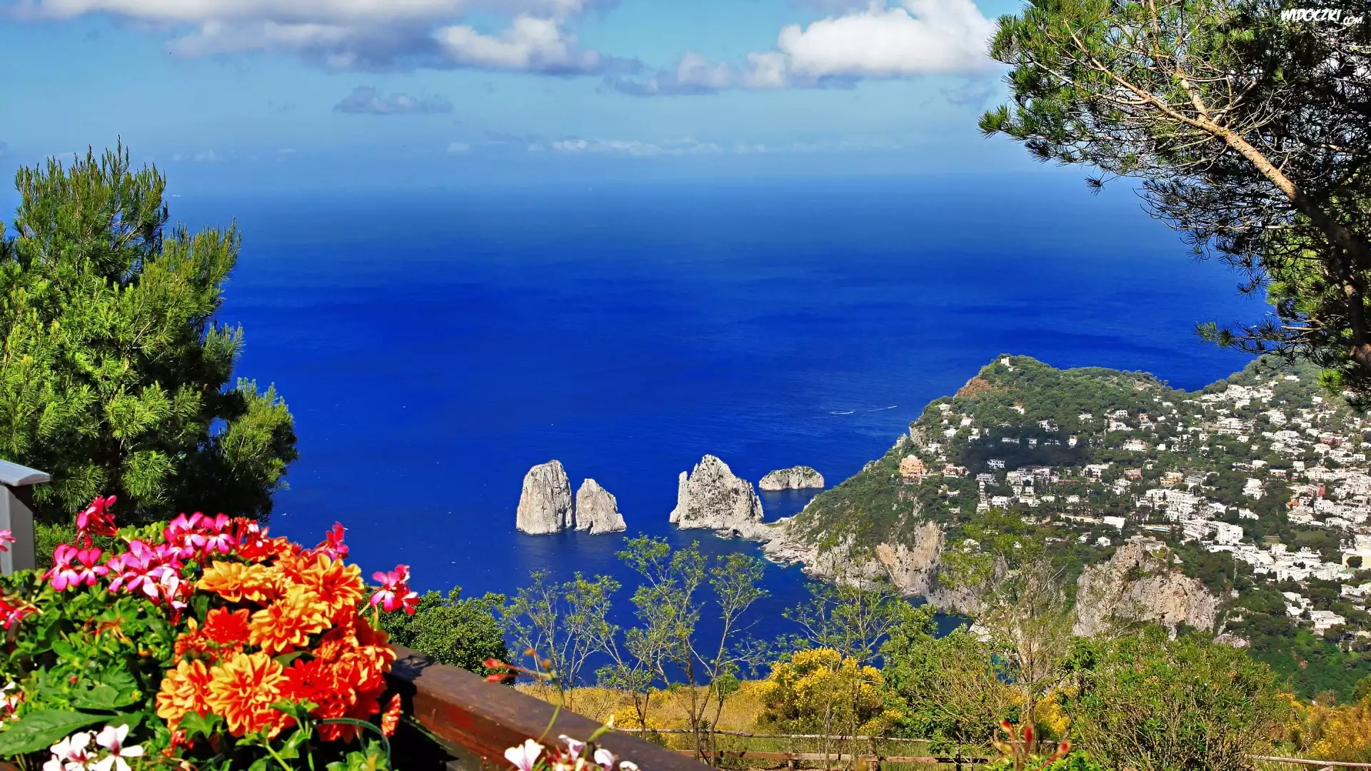 Morze, Skały, Kwiatki, Capri