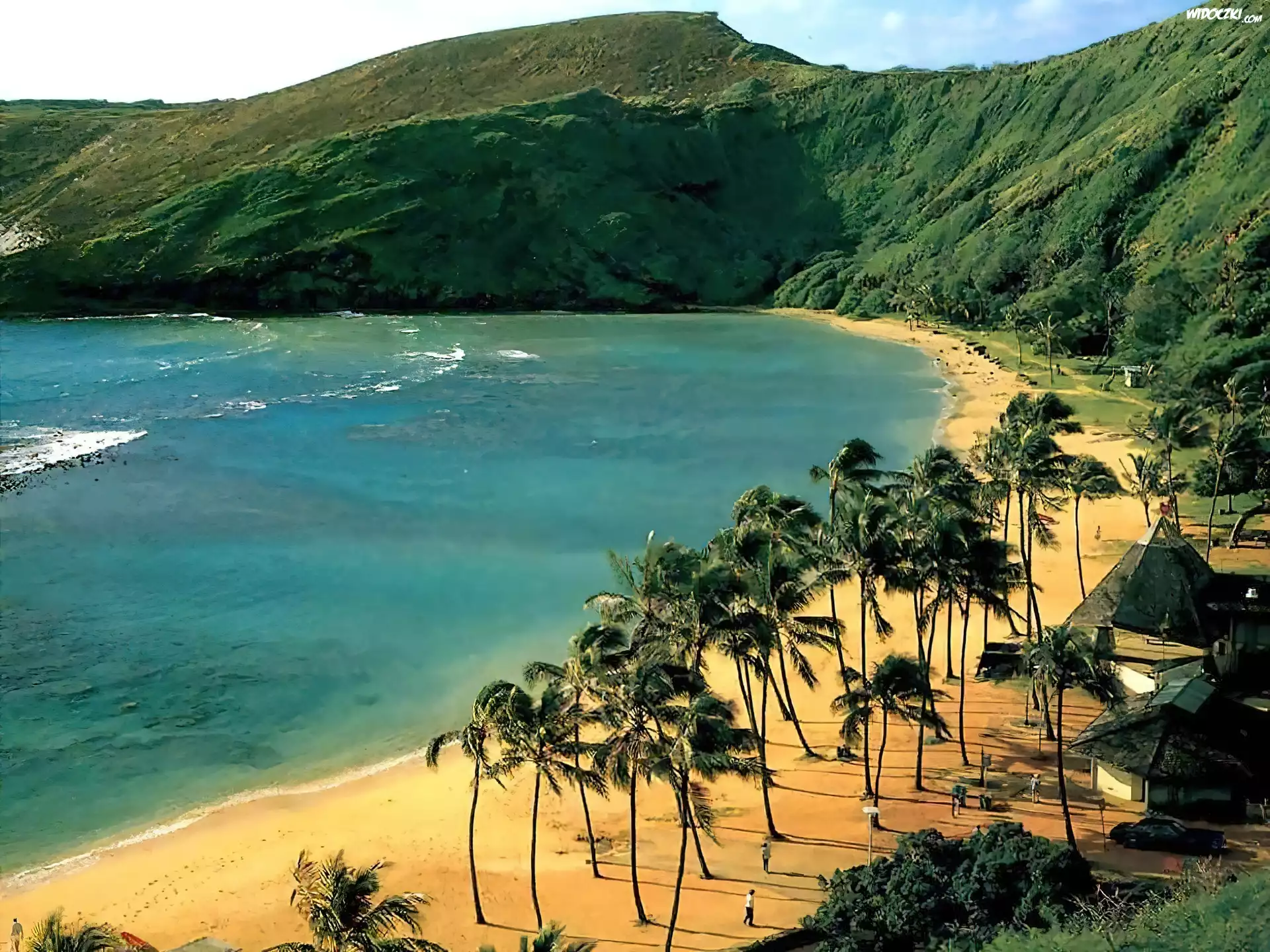 Morze, Plaża, Palmy, Góry, Oahu, Hawaje
