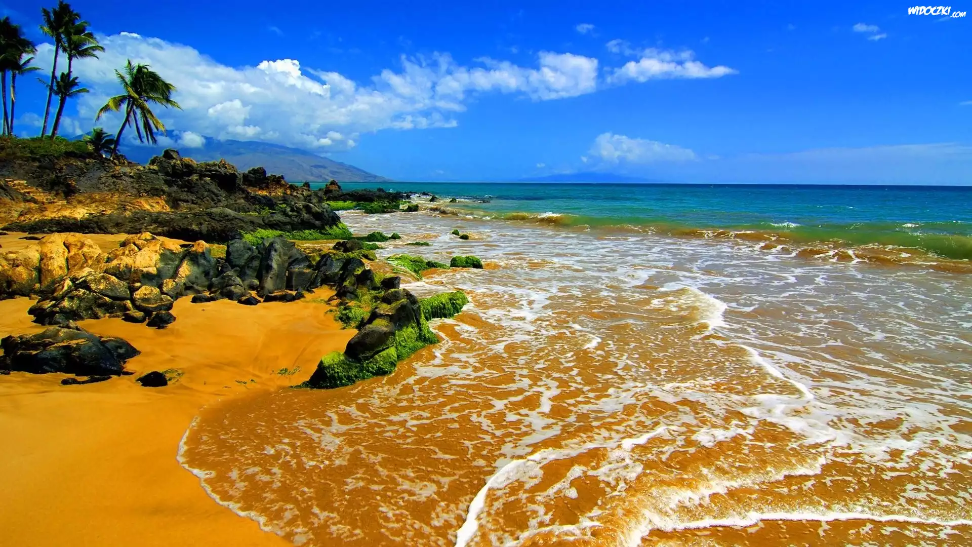 Morze, Plaża, Palmy, Wybrzeże