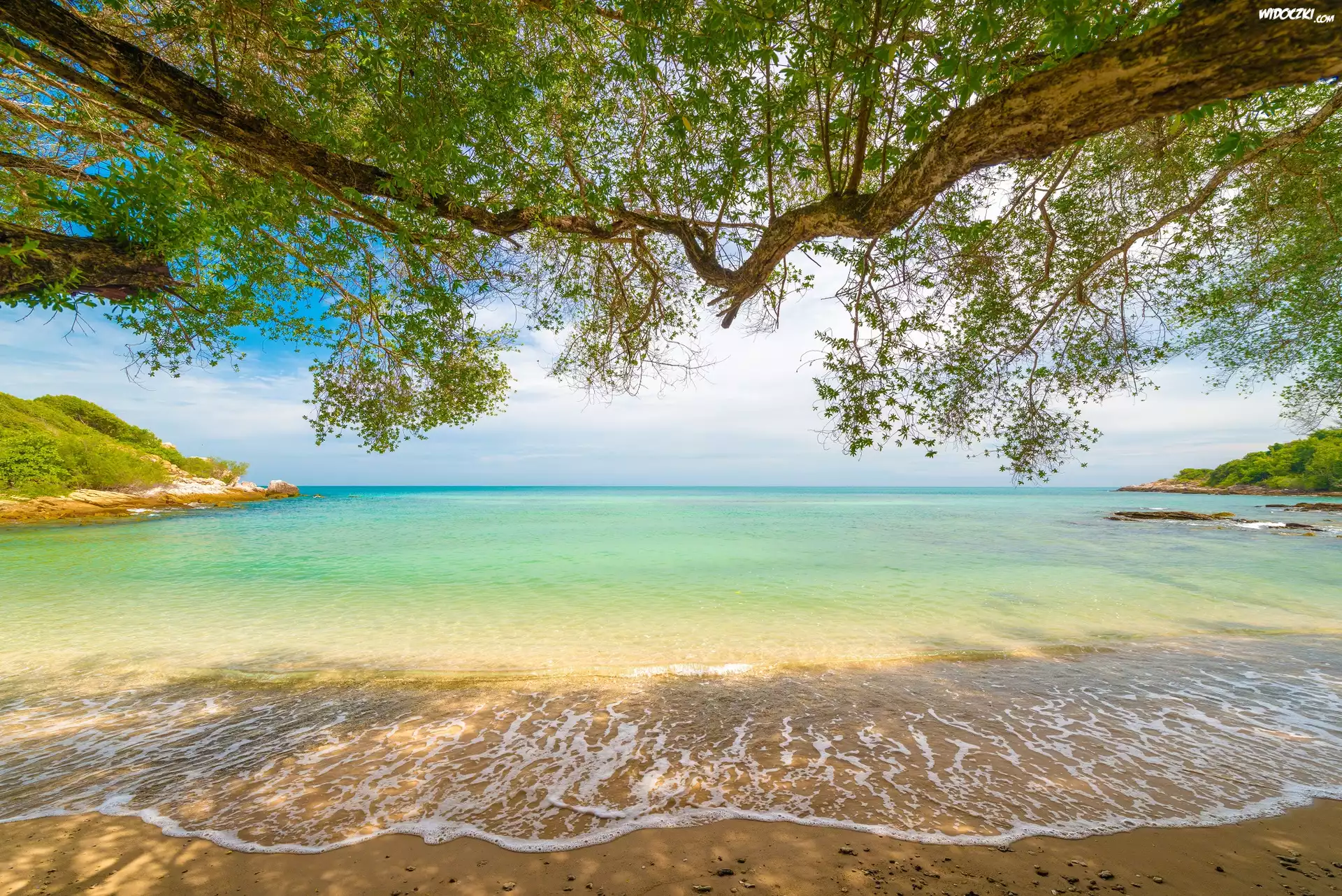 Morze, Plaża, Piasek, Drzewa