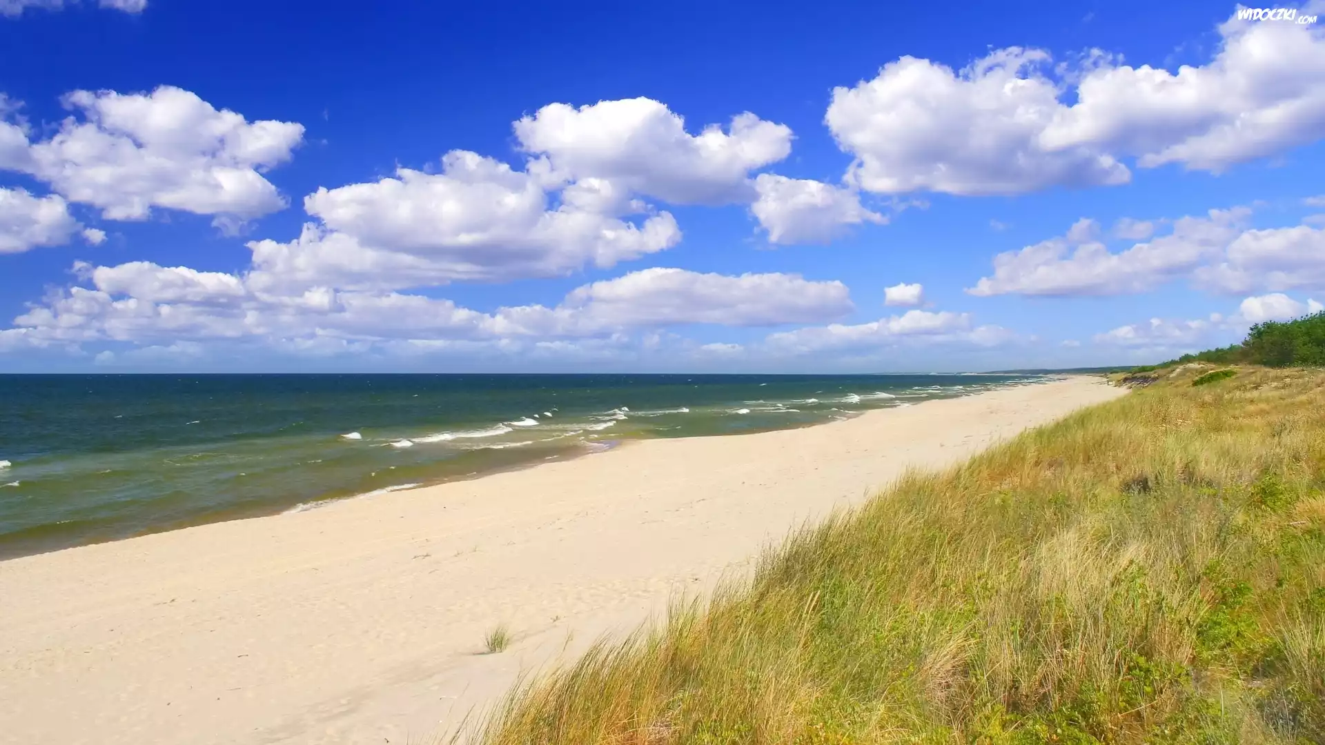Morze, Fale, Plaża, Piasek, Trawa