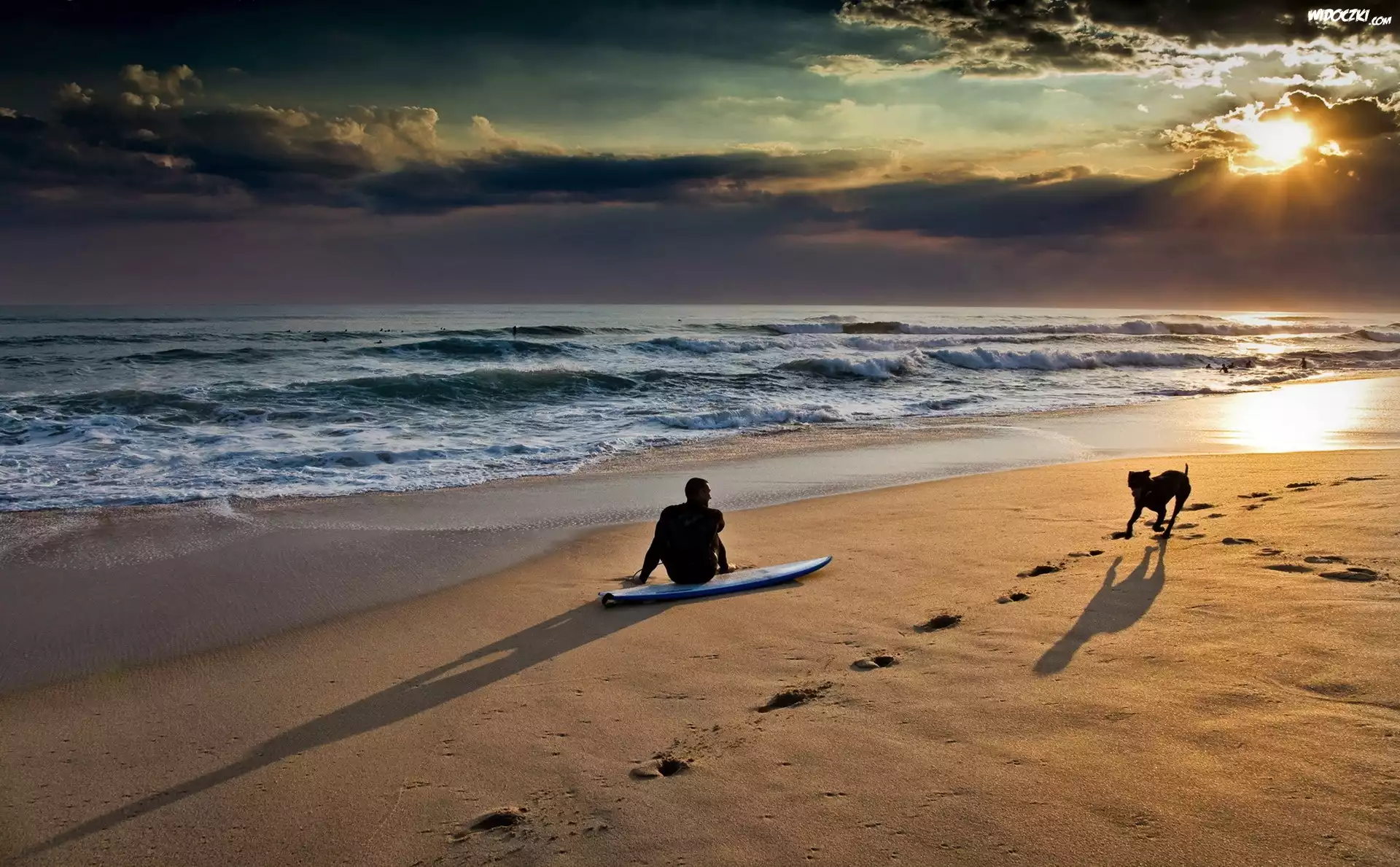 Morze, Plaża, Pies, Surfer