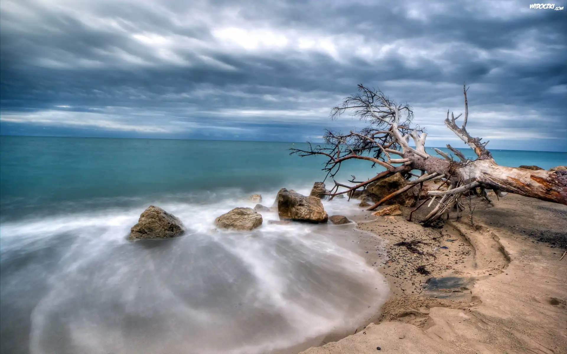 Plaża, Morze, Drzewo
