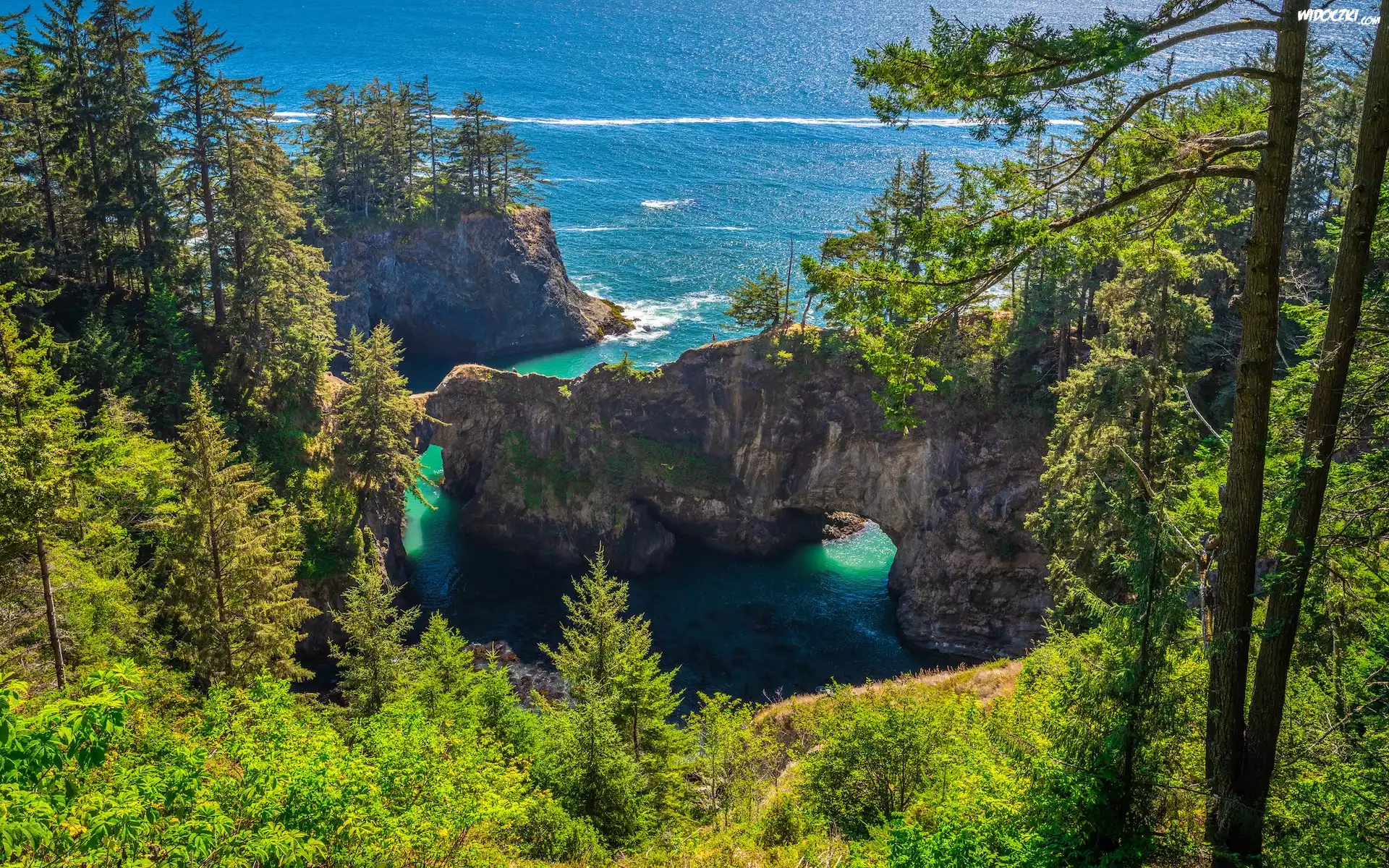 Skały, Most skalny, Drzewa, Morze, Punkt widokowy, Natural Bridges Viewpoint, Brookings, Oregon, Stany Zjednoczone