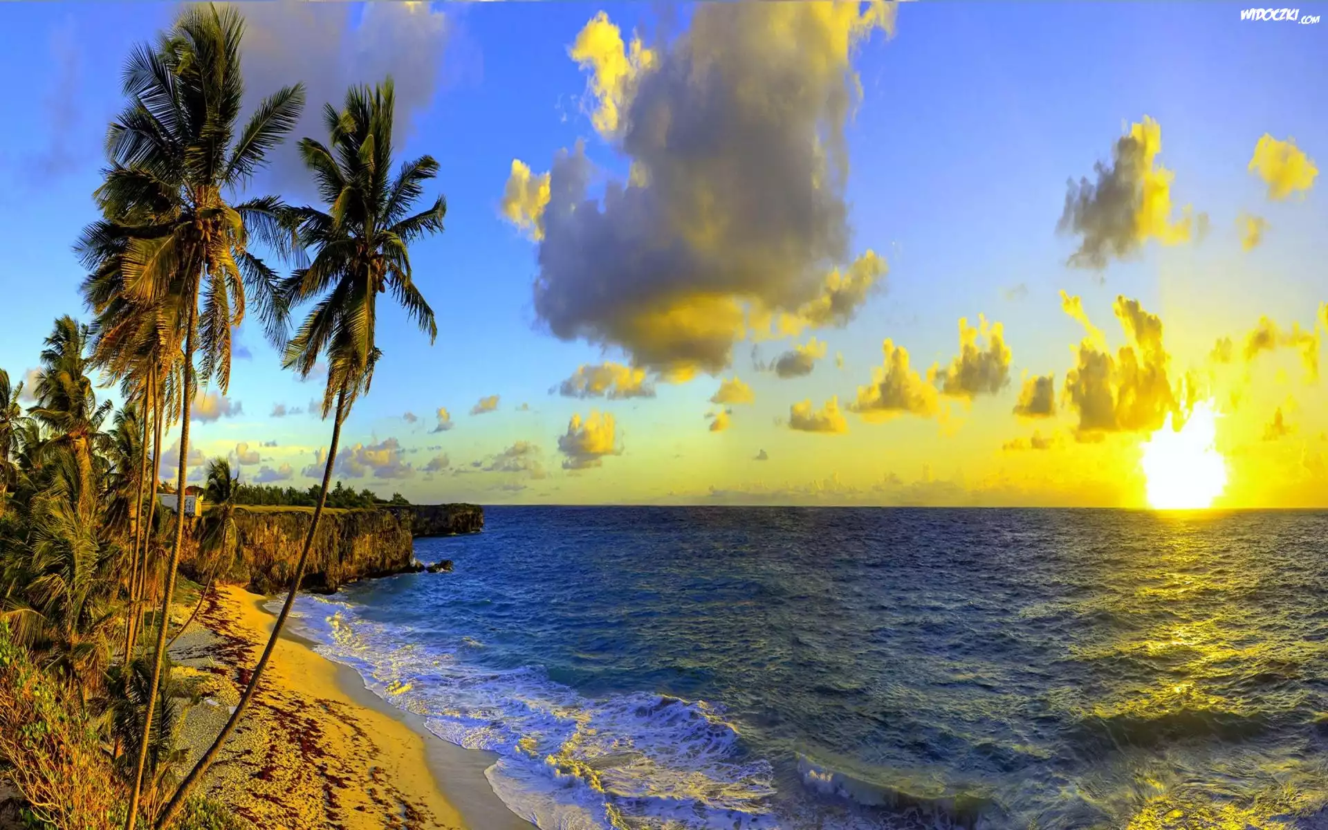 Morze, Chmury, Palmy, Zachód Słońca, Barbados
