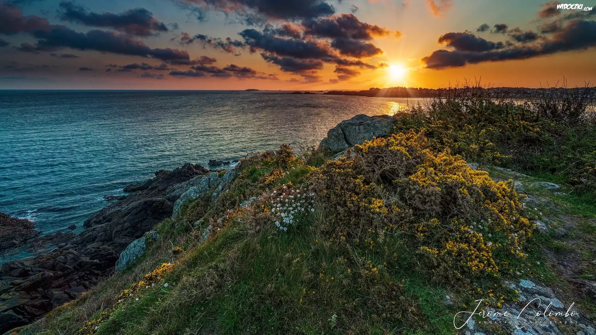 Morze, Wybrzeże, Wschód słońca, Skały, Roślinność, Bretania, Pointe de la Garde Guerin, Francja