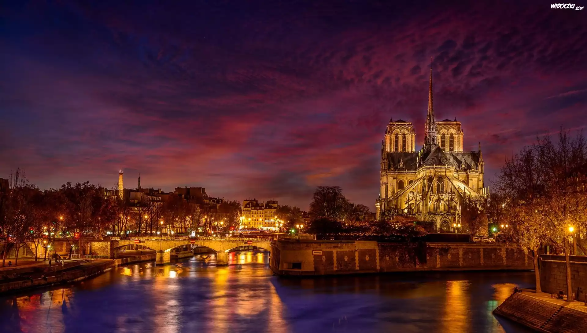 Francja, Paryż, Katedra Notre-Dame, Rzeka Sekwana, Światła, Most