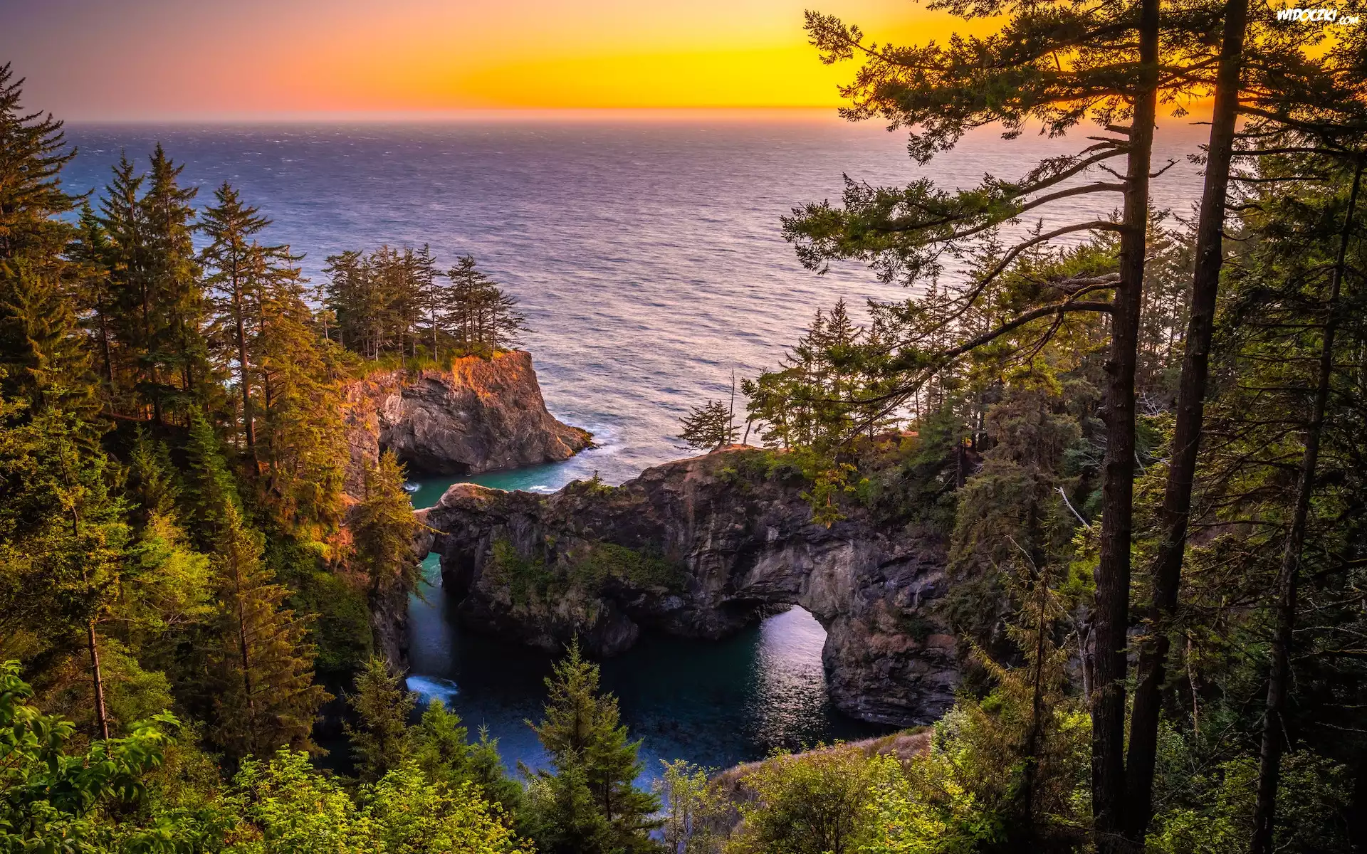 Skały, Most skalny, Drzewa, Morze, Wybrzeże Park stanowy, Samuel H. Boardman State Scenic Corridor, Punkt widokowy, Natural Bridges Viewpoint, Brookings, Oregon, Stany Zjednoczone