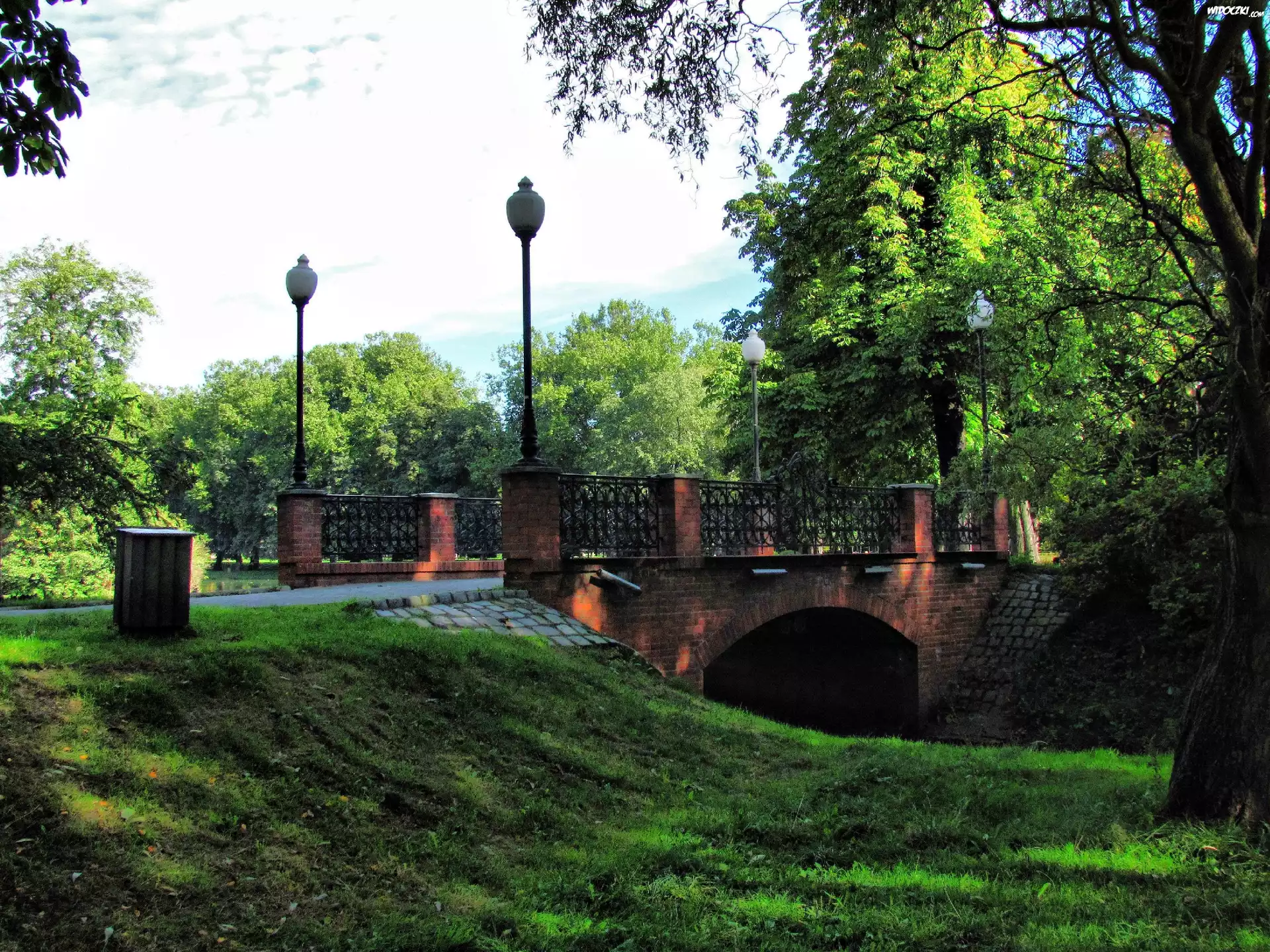 Park, Mostek, Drzewa