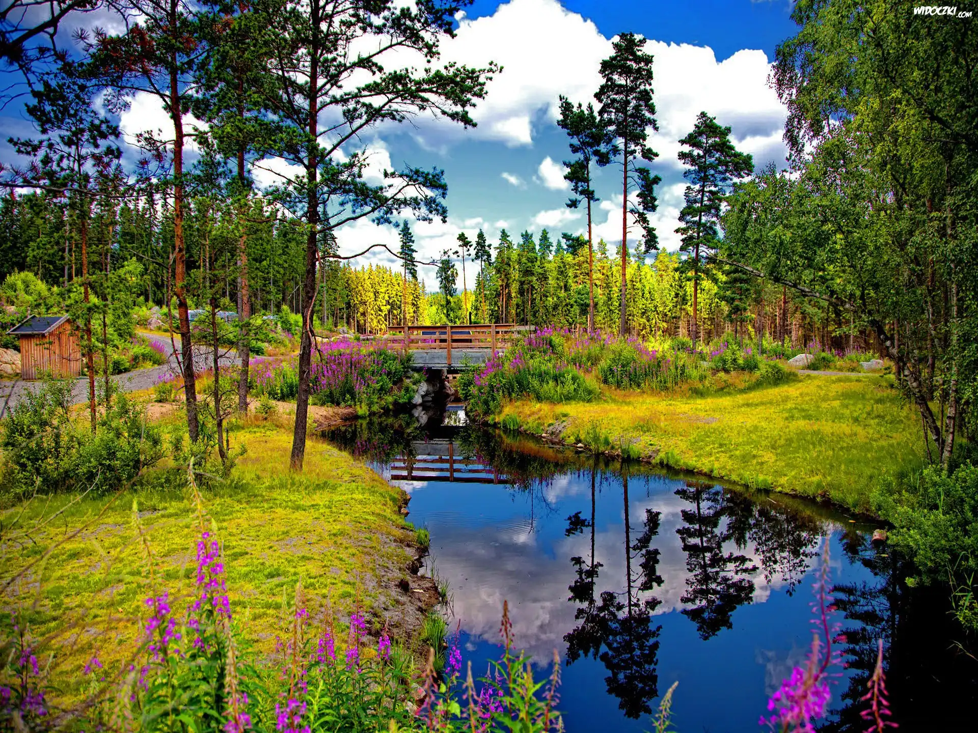 Park, Mostek, Rzeczka