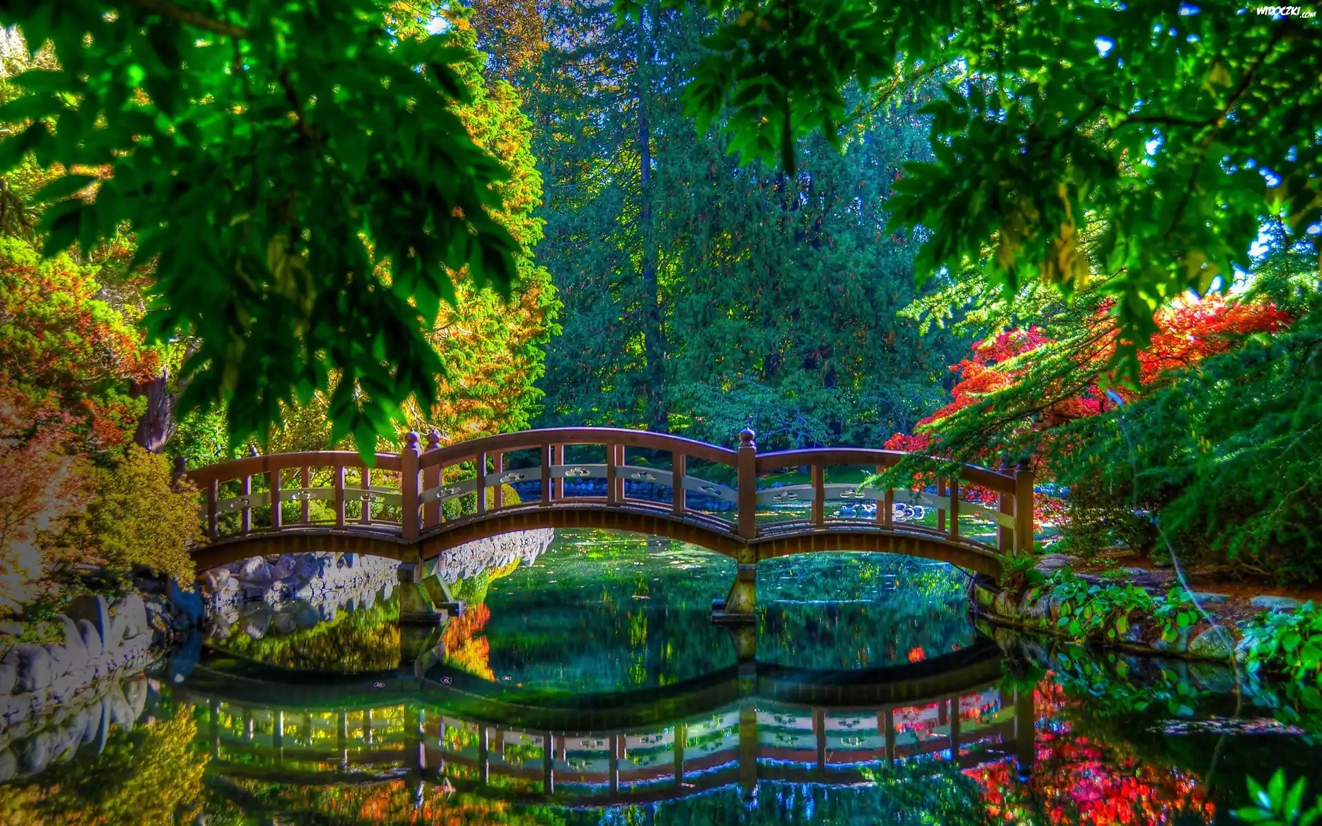 Park, Mostek, Staw