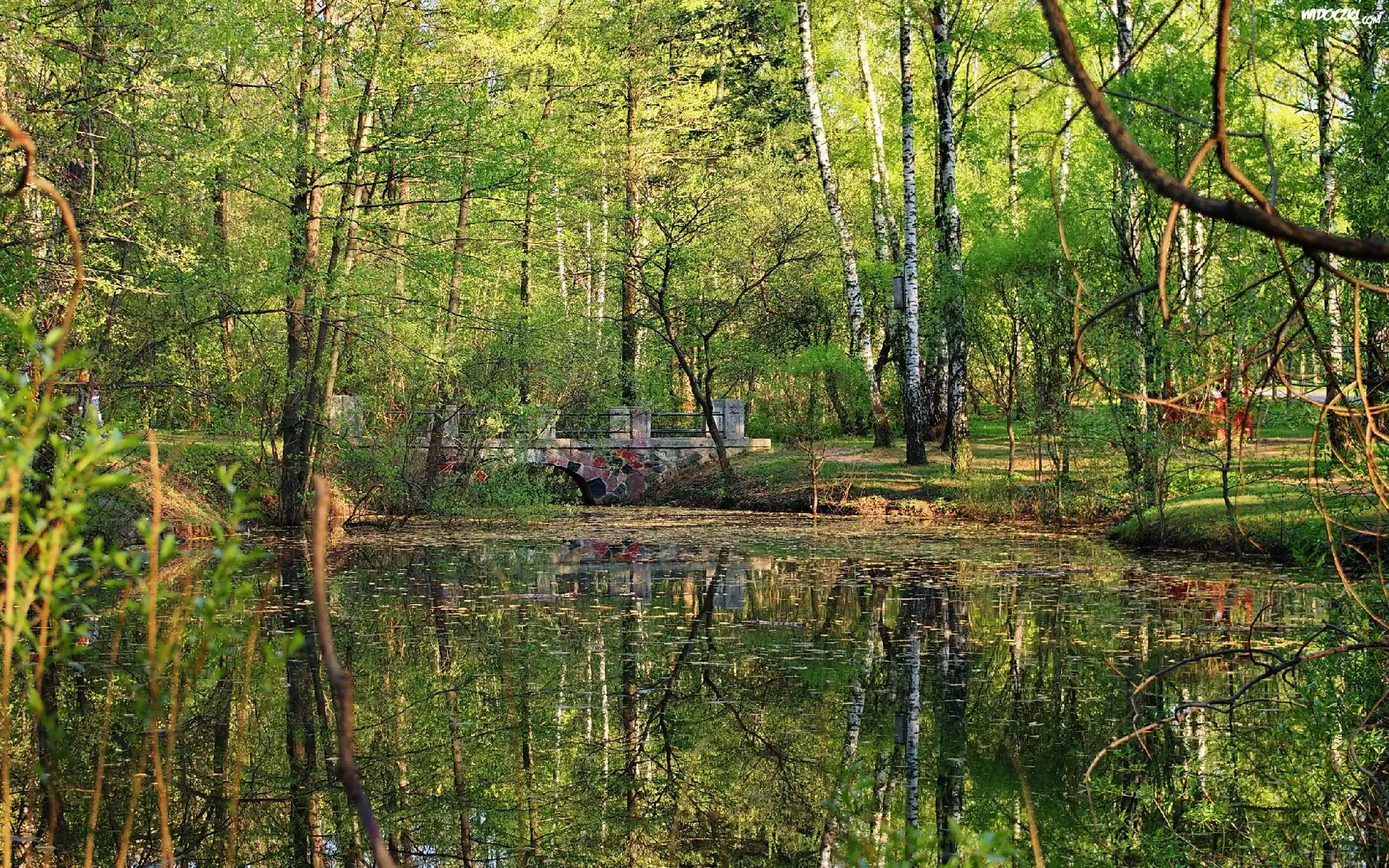 Park, Mostek, Staw