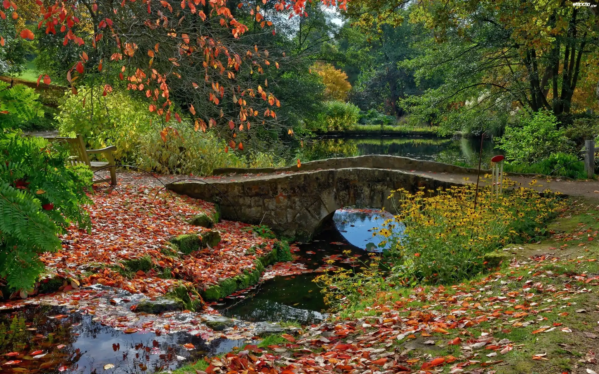 Staw, Mostek, Kwiaty, Liście, Park, Jesień, Anglia