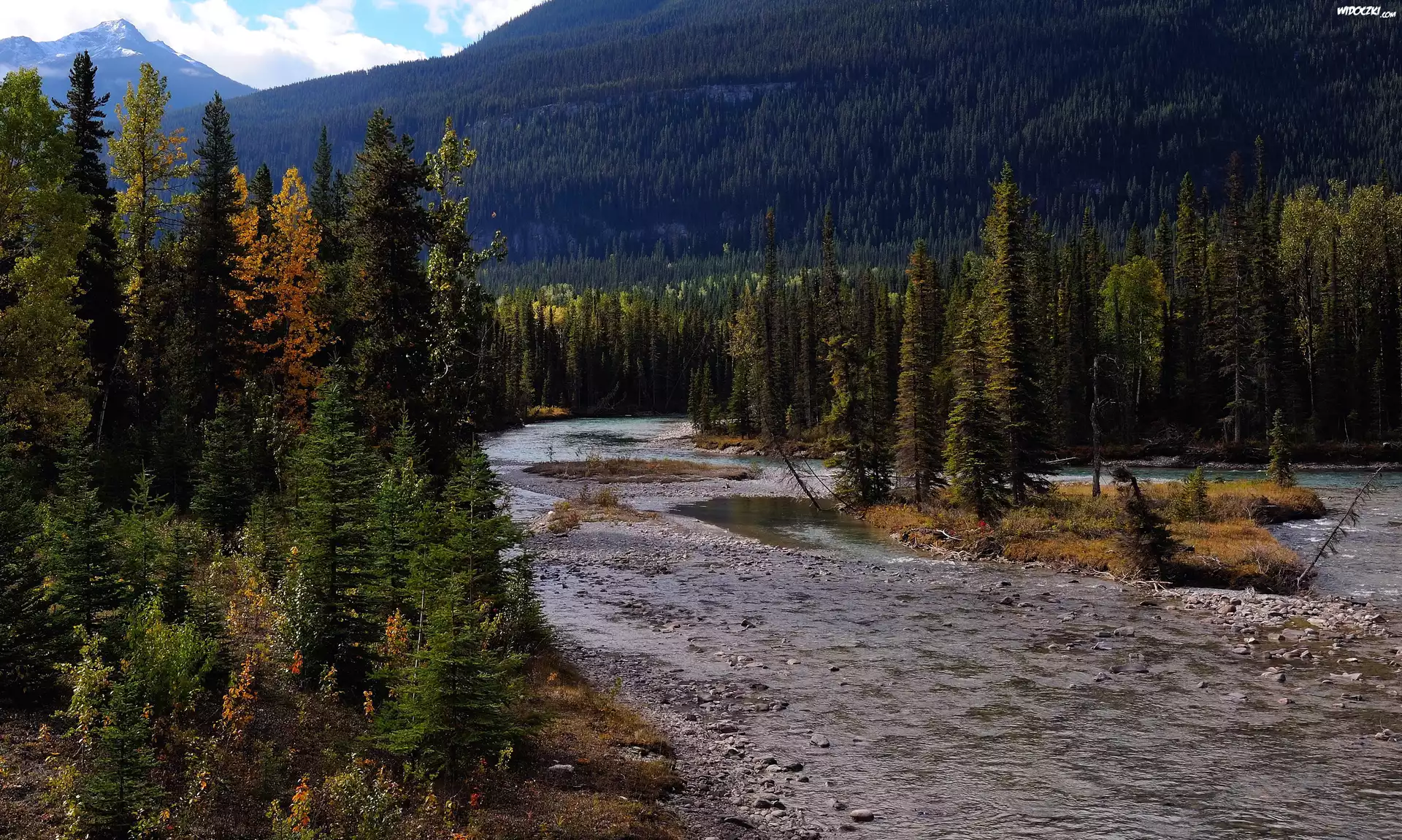 Kanada, Mount Robson Provincial Park, Rzeka, Drzewa, Góry
