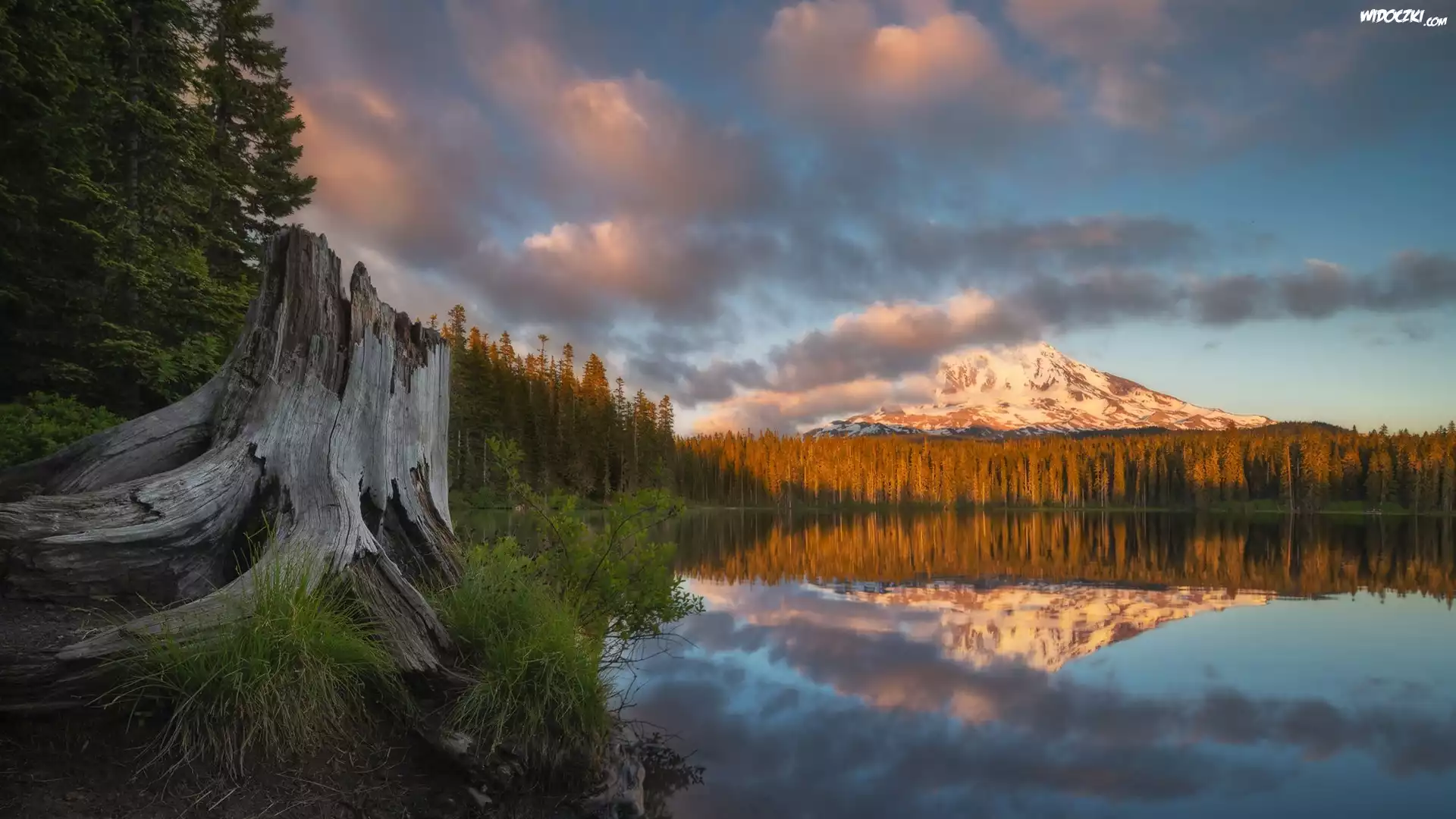 Stany Zjednoczone, Waszyngton, Góra, Stratowulkan, Mount Adams, Jezioro, Takhlakh Lake, Drzewa, Chmury