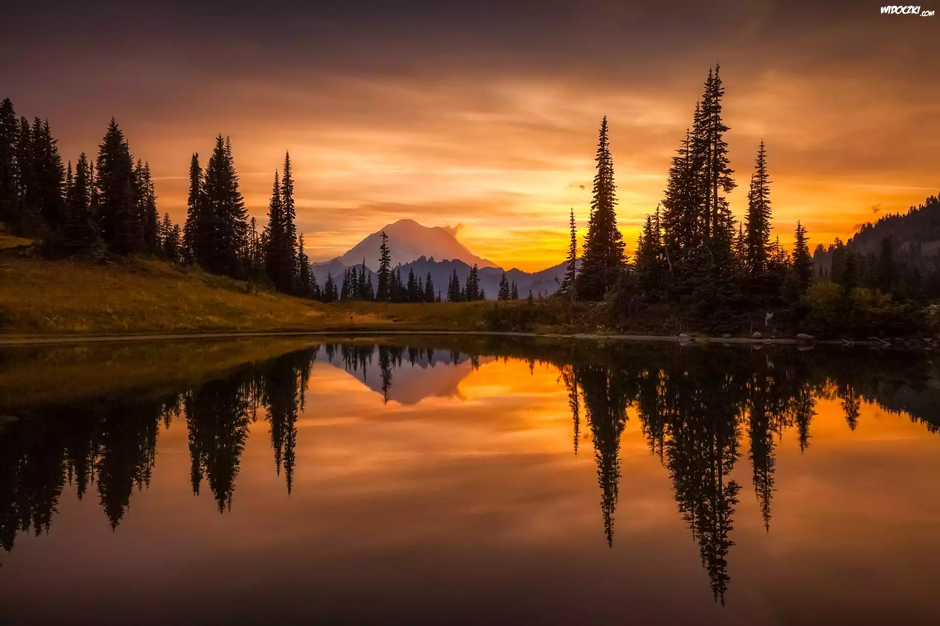 Stany Zjednoczone, Stan Waszyngton, Park Narodowy Mount Rainier Stratowulkan Mount Rainier, Jezioro, Drzewa, Odbicie, Zachód Słońca